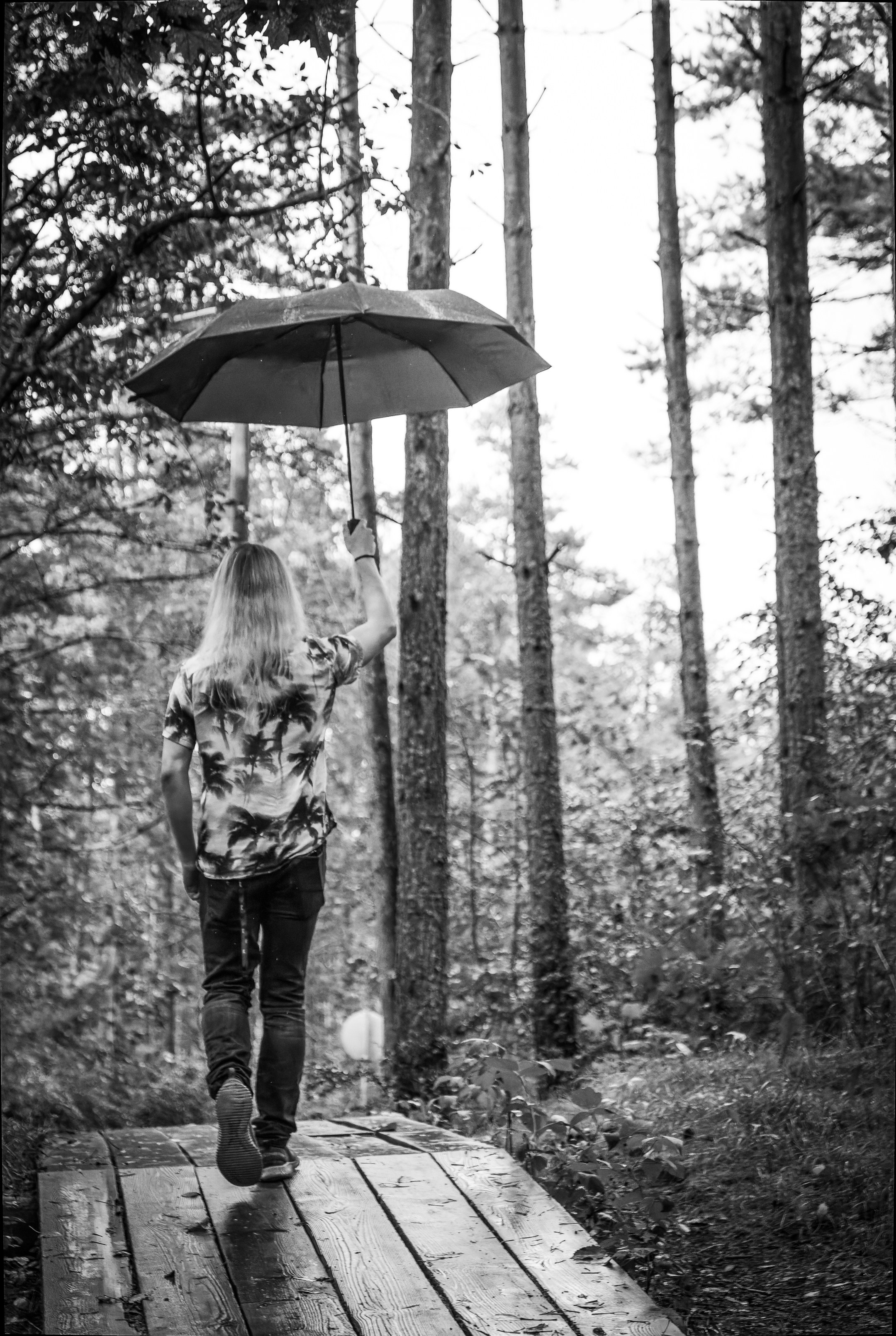 Mets, vihm ja jahedus (Dimitry). Nebula 25 — Fotod teie hingele