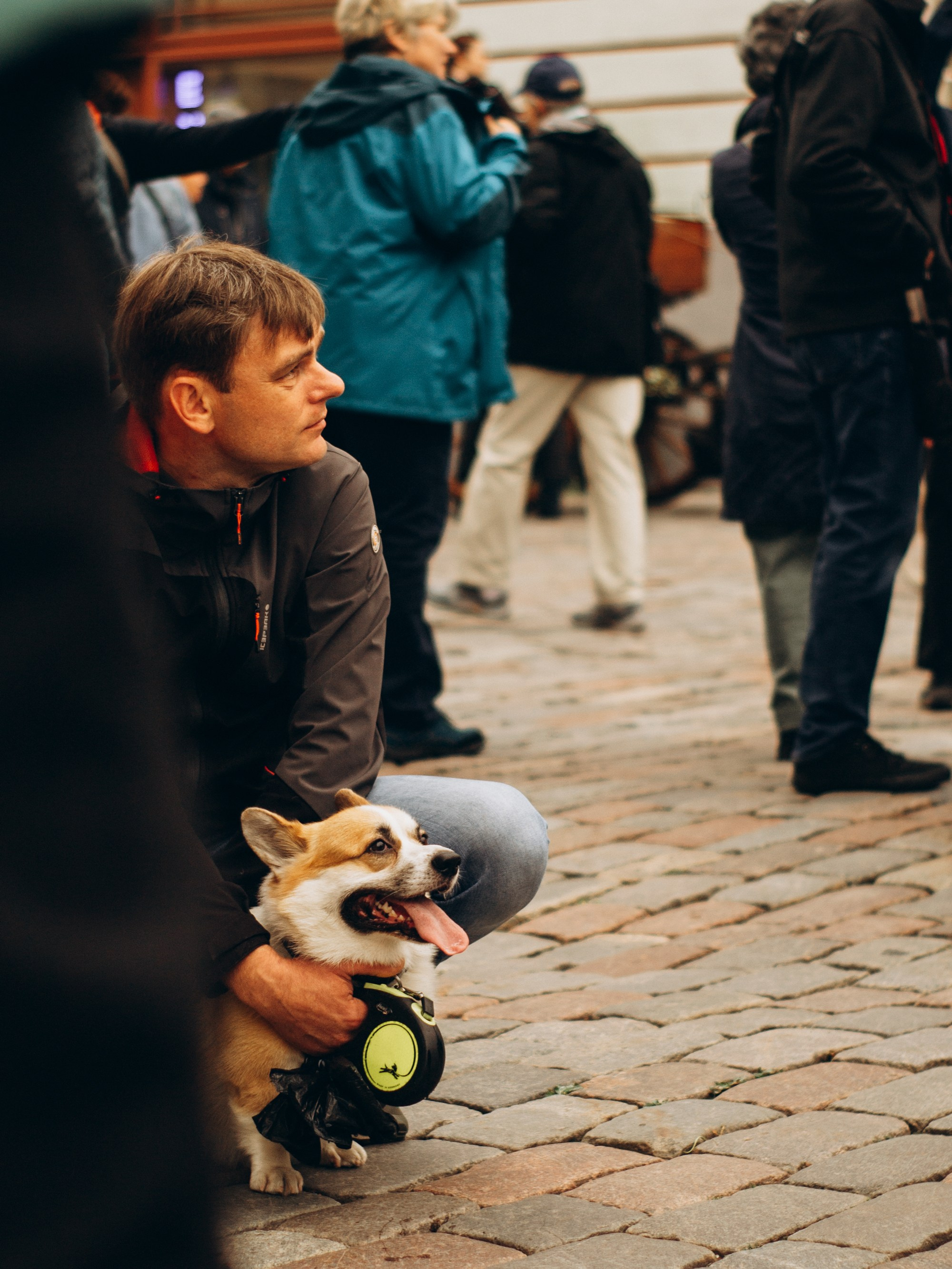 Corgi party, september. Kat Laisaar — Pet photographer in Tallinn
