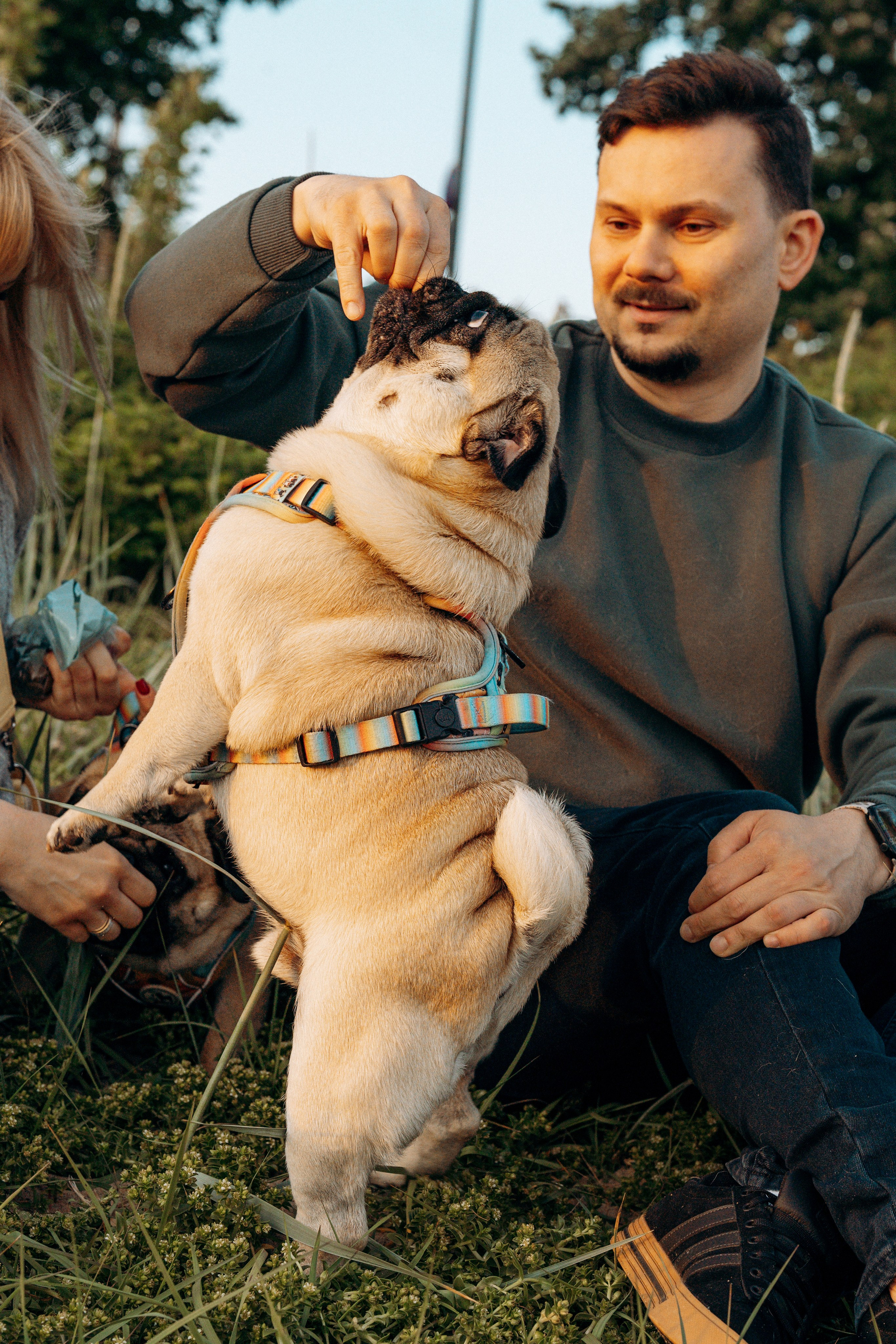 Frank, Tony, Katerina & Lev. Kat Laisaar — Pet photographer in Tallinn