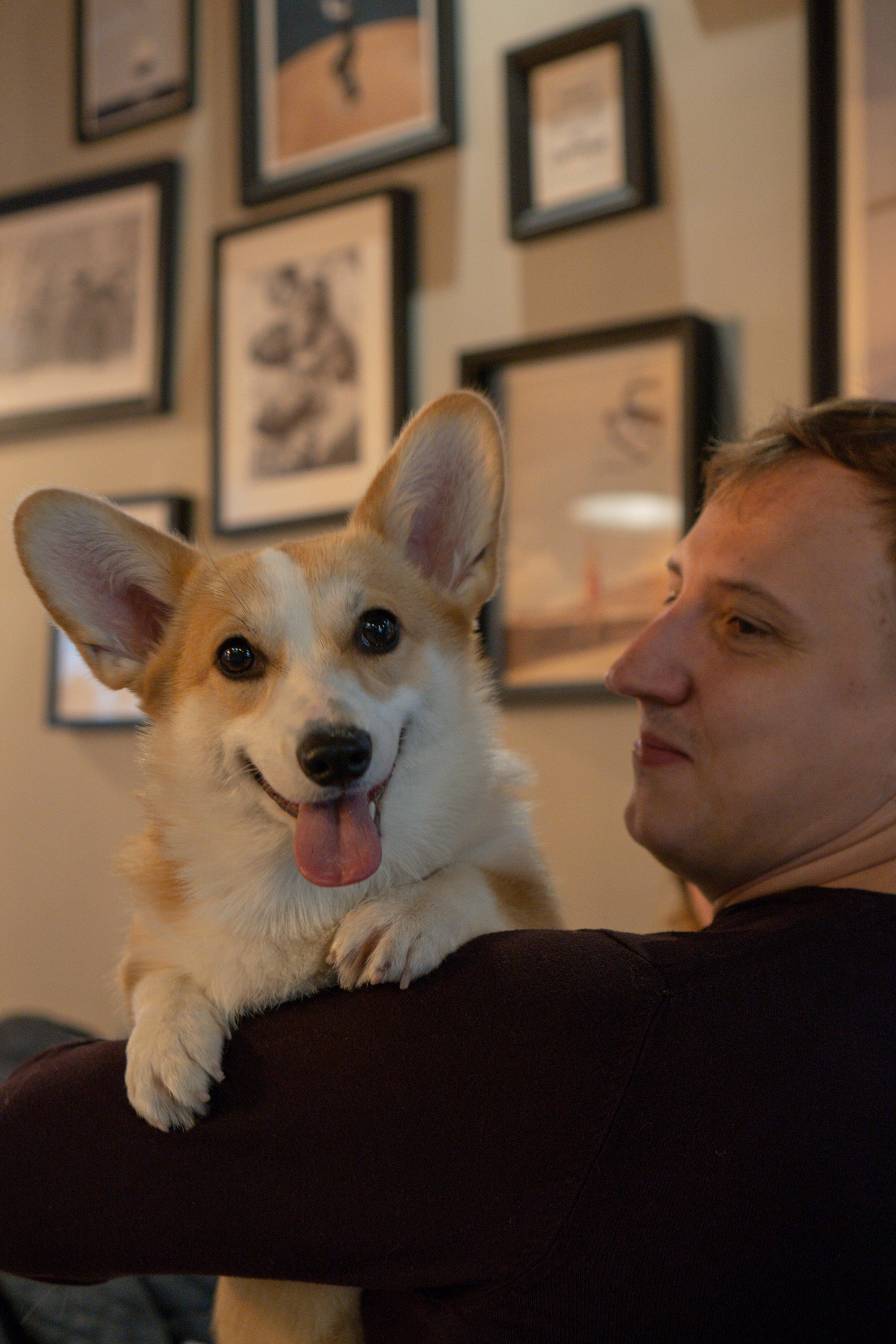 Maarika, Jegor and their Luna, Pembroke Welsh Corgi. Kat Laisaar — Pet photographer in Tallinn