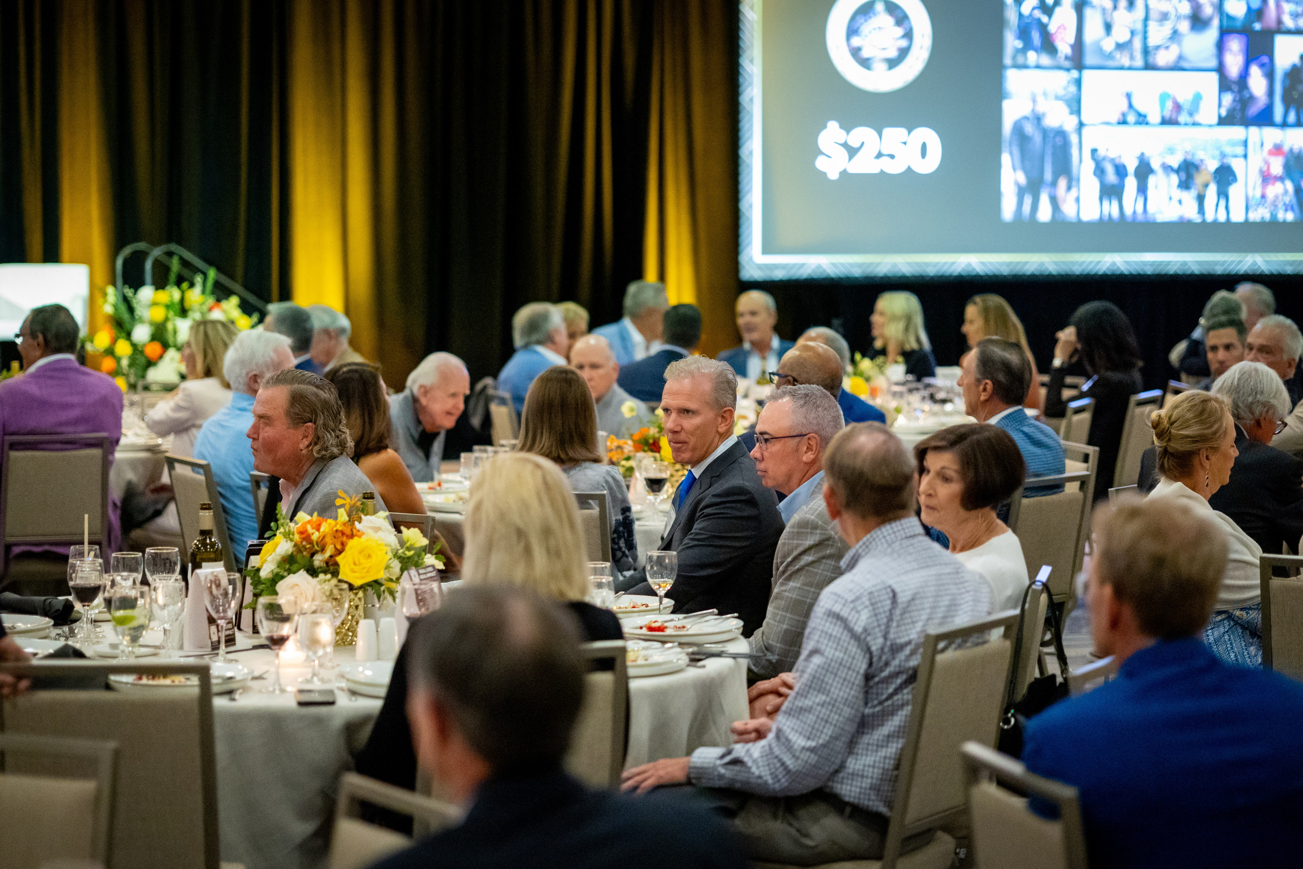 Healing Forces 2025. Out and About 239