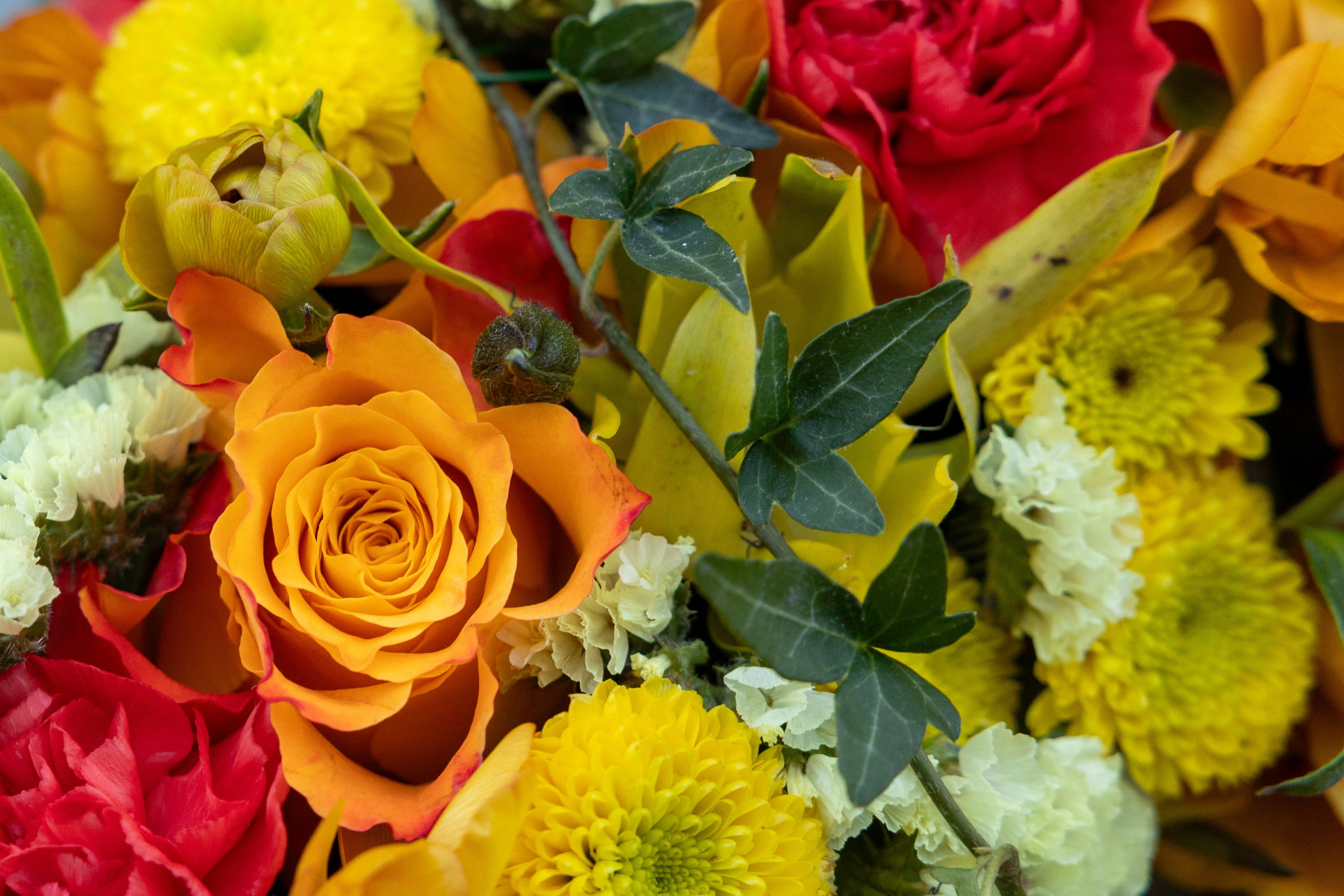 Elegant blomsterkrans til begravelse sammensat af farverige gerbera, roser og dekorative blomster. En værdig afskedshilsen fra Akropolis Blomster, der udtrykker varme minder og dybfølt respekt.