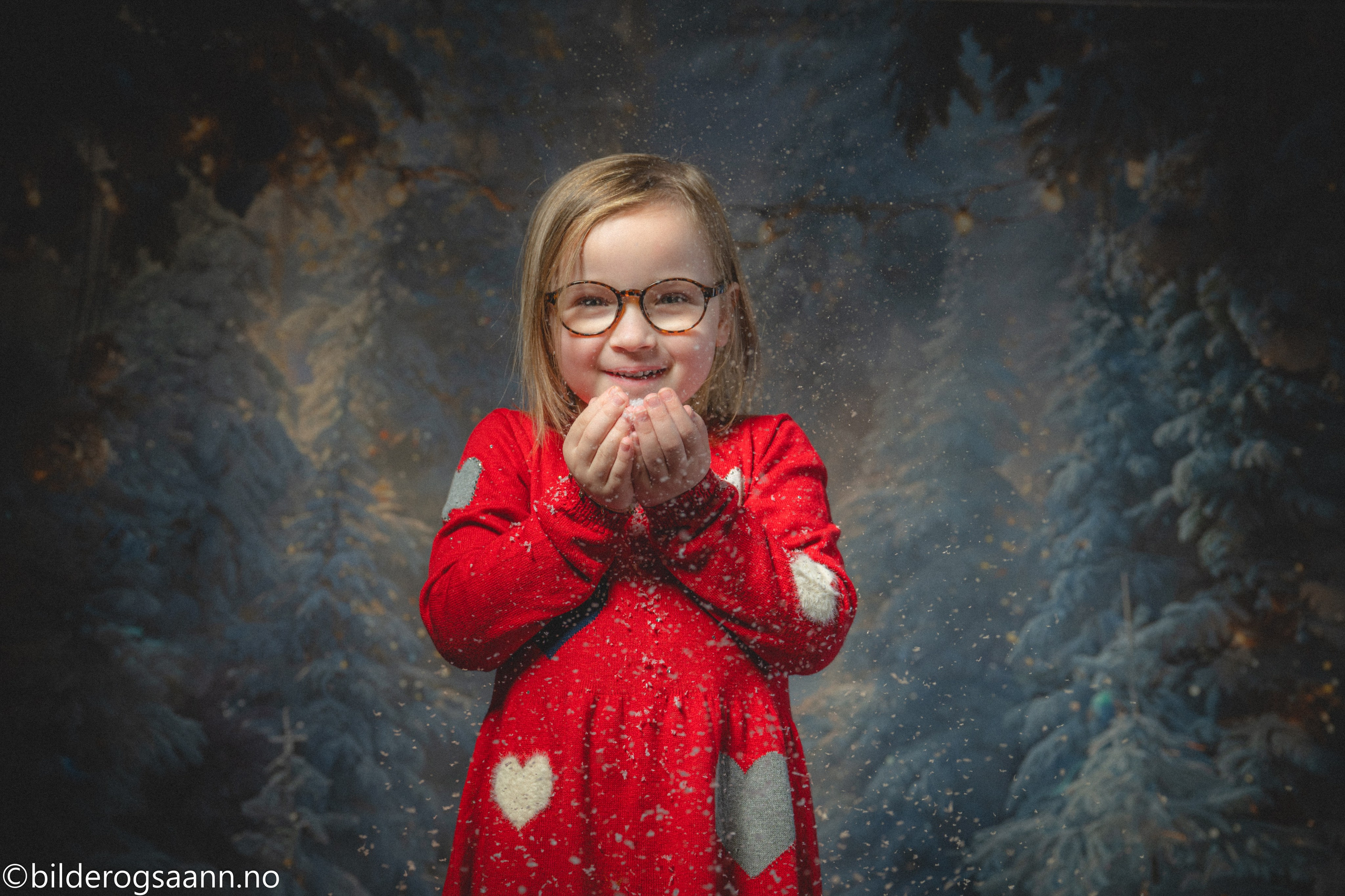 Julefotografering med menind. Din fotograf i Narvik kommune