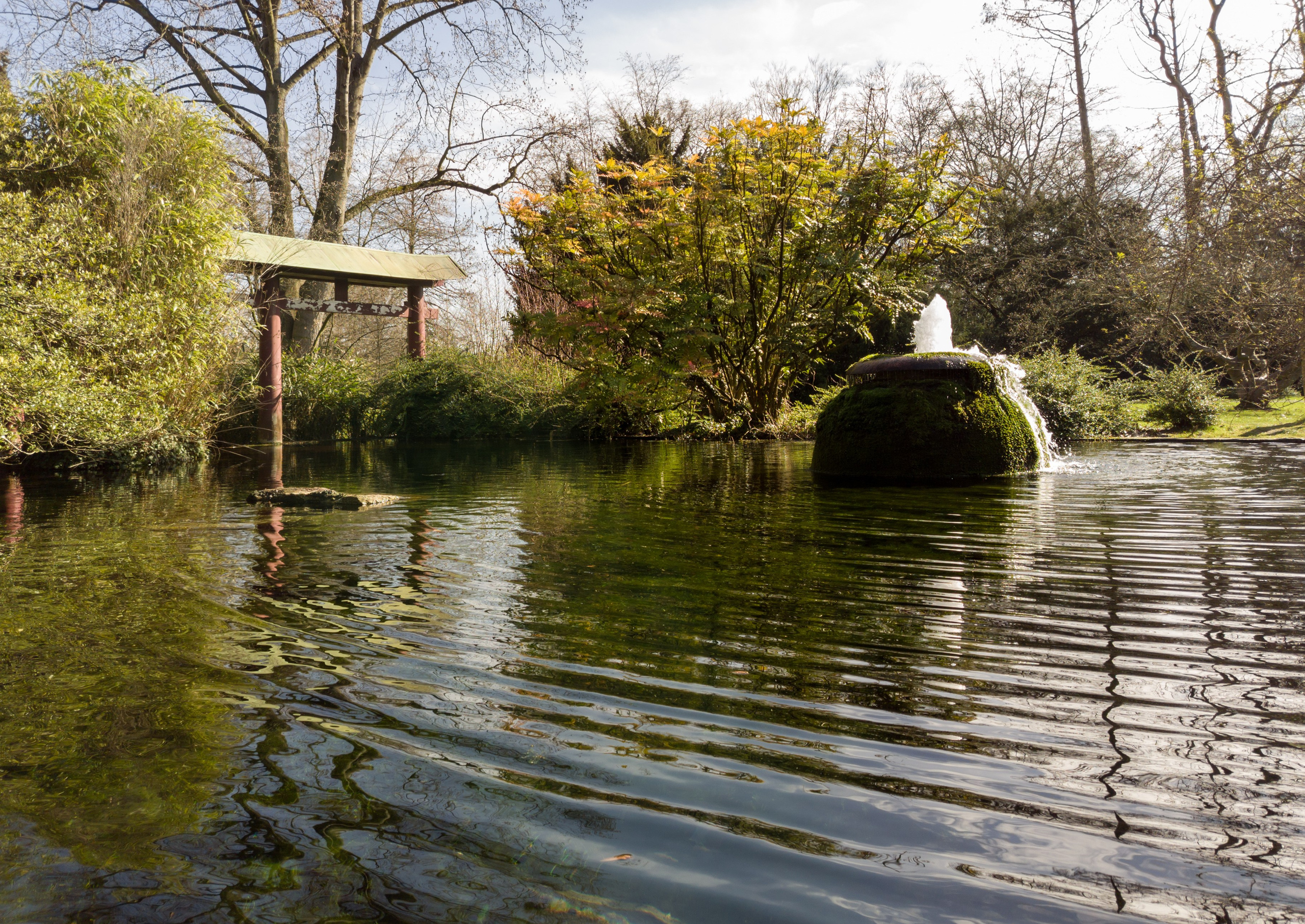 Cologne (Germany) Leverkusen. Fotograf in Köln, Bonn, Düsseldorf, Krefeld
