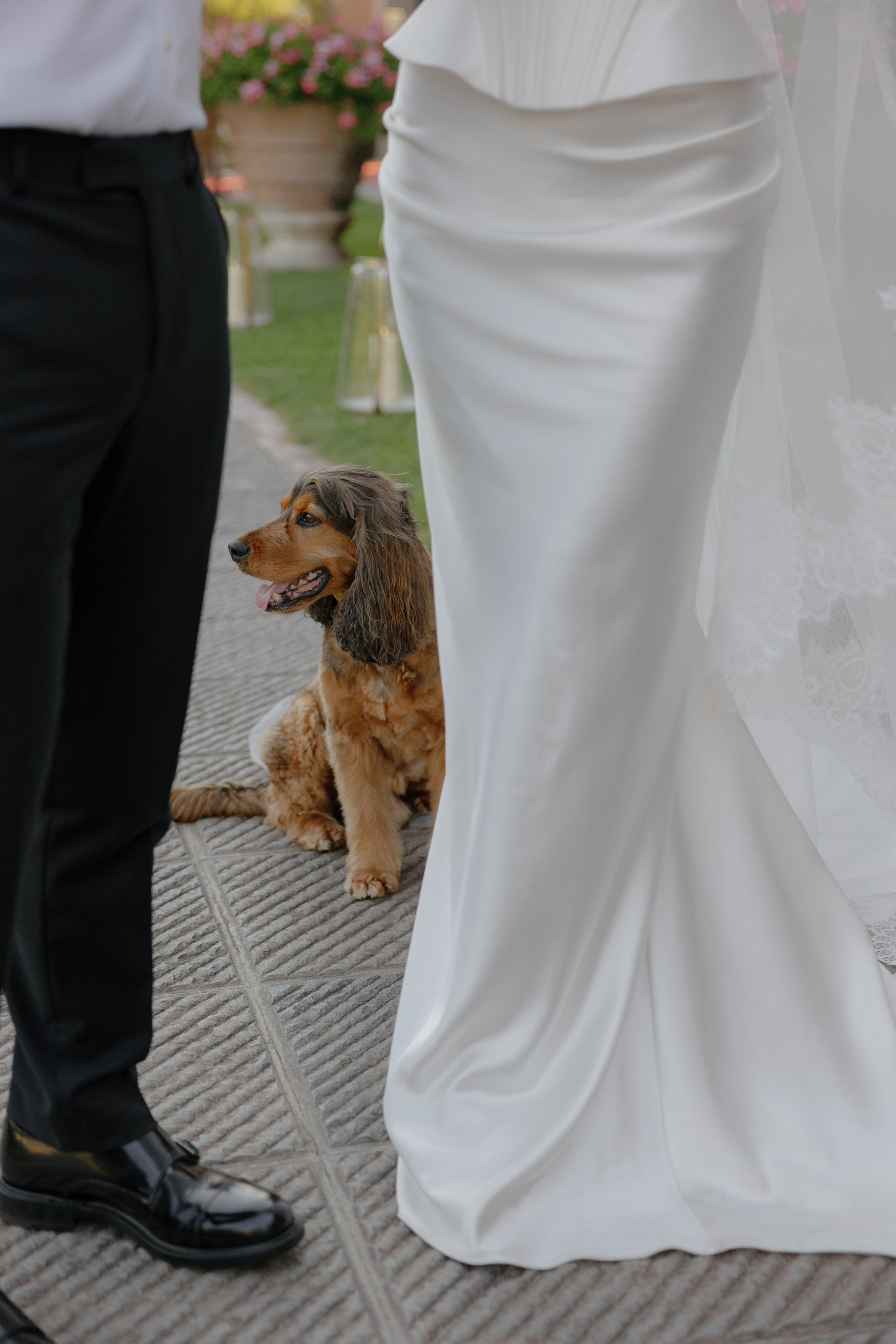 Andrew 🤍 Tilly in Tuscany. Fotografa Rimini