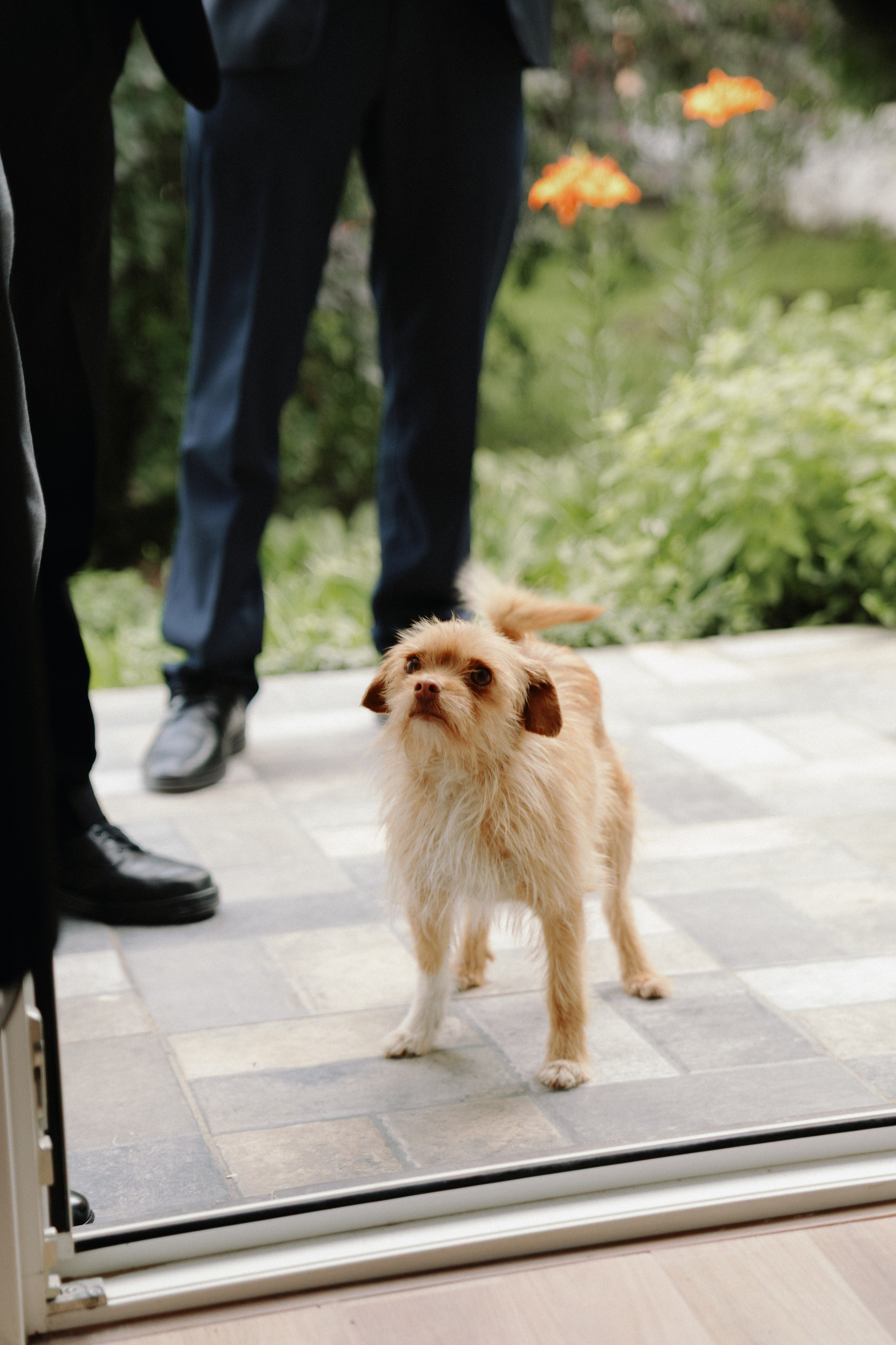 Daniela & Ioan. STORYCATCHERS