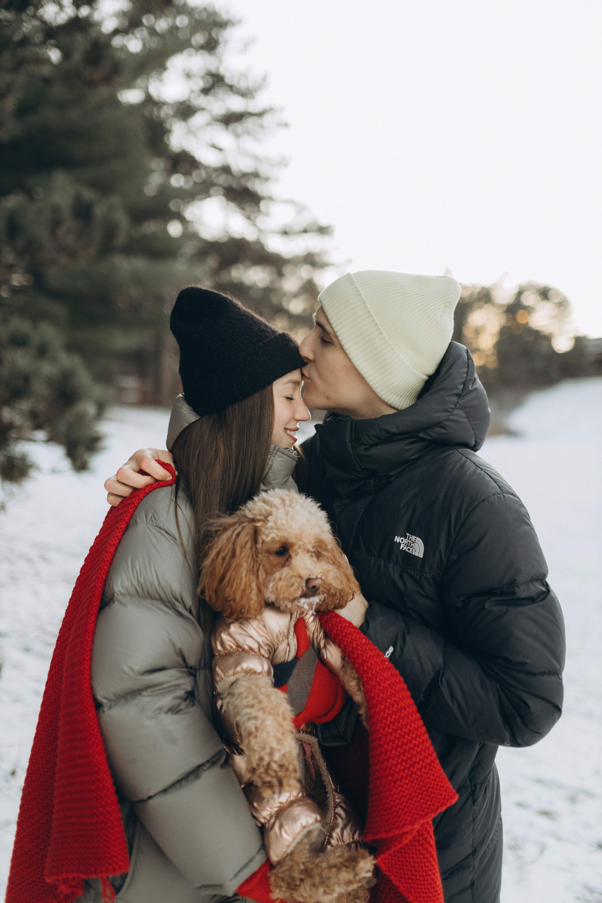 Winter magic. Chernenko.photography