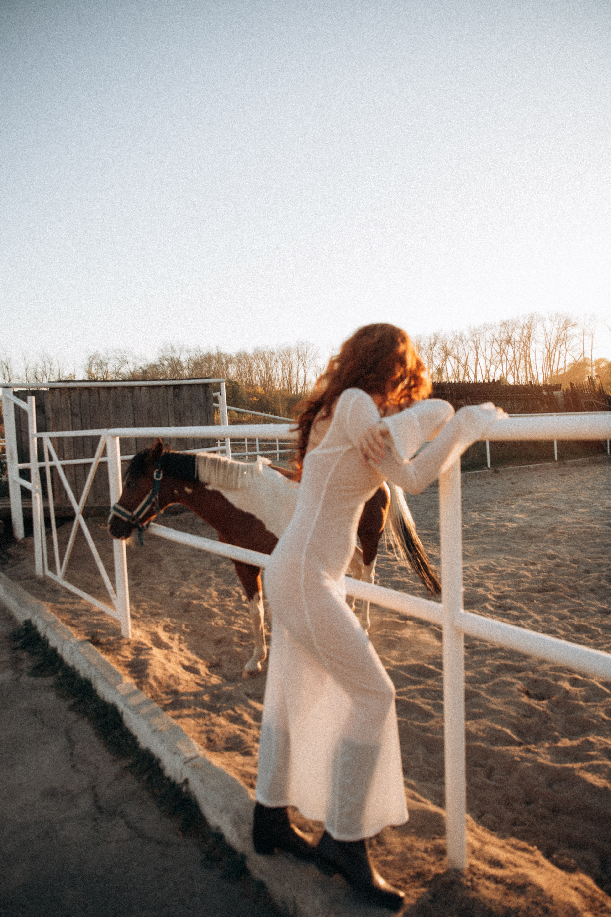 Horse & Rider Photoshoots in Boston & New England