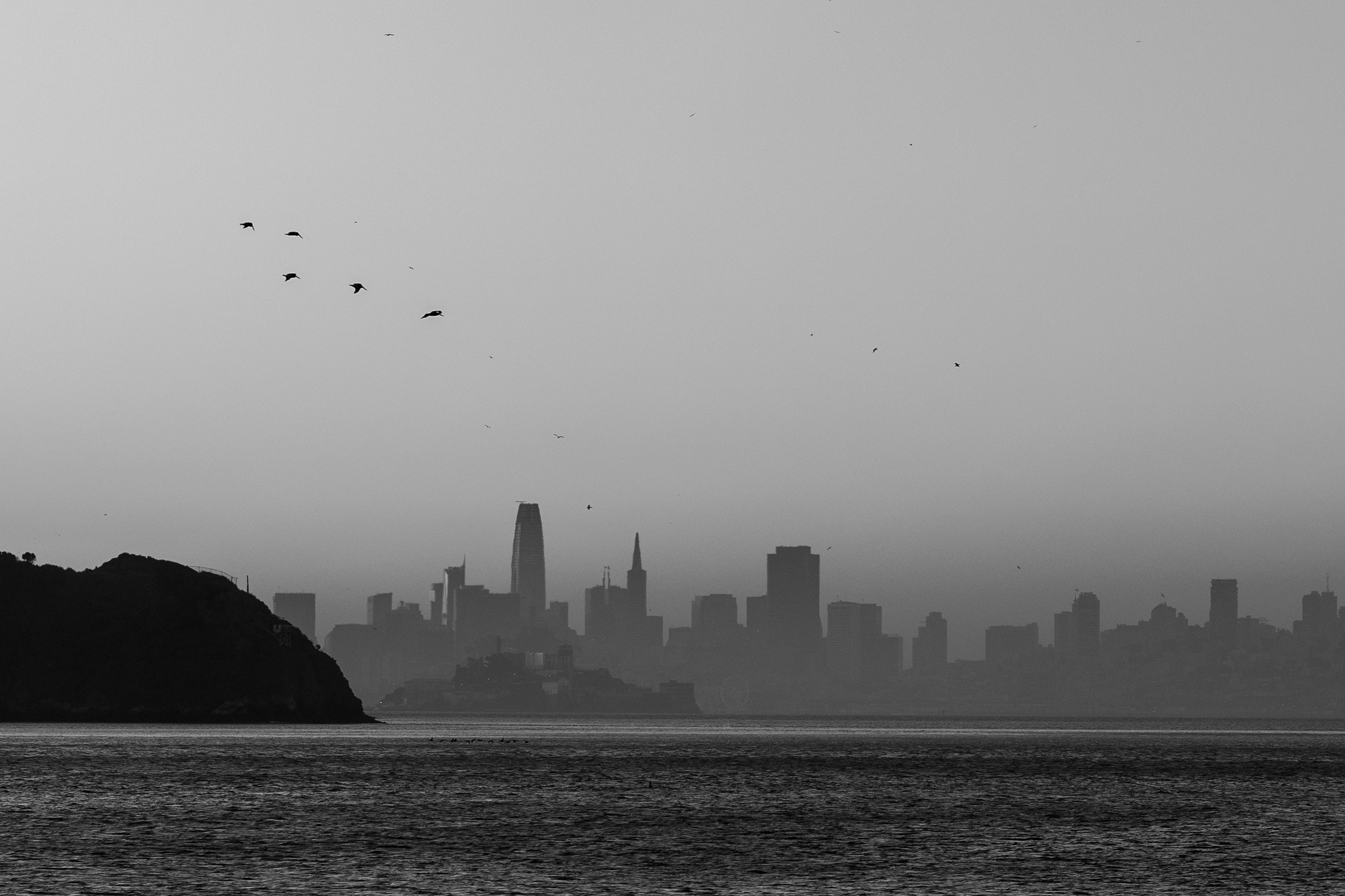 San Francisco. Aleks.photo | Book a photoshoot