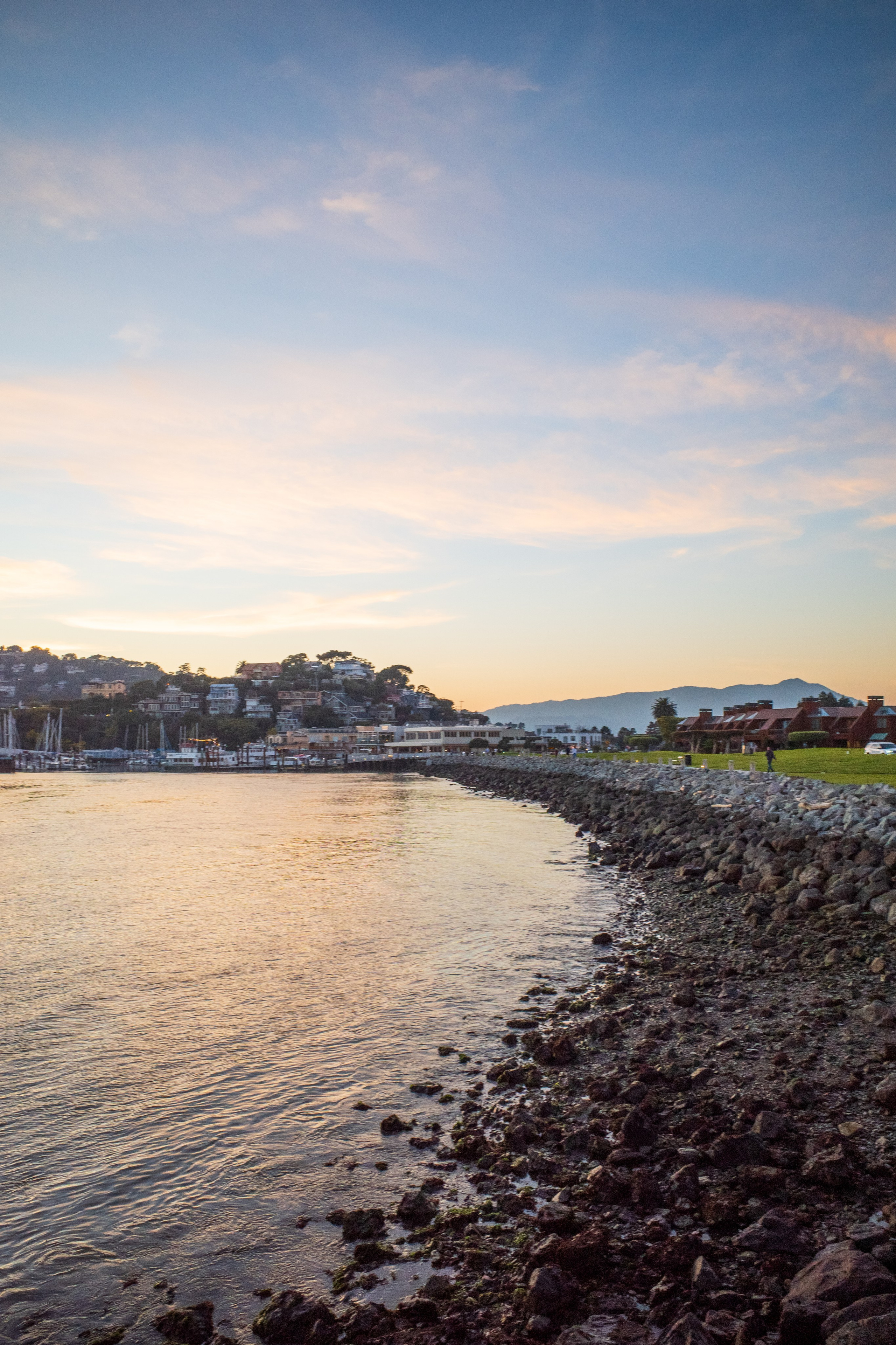 San Francisco. Aleks.photo | Book a photoshoot