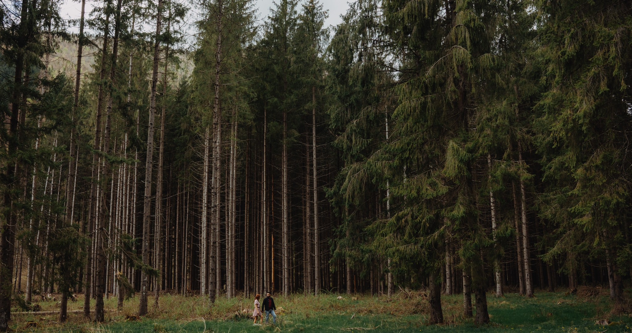 Save The Date — Monica & Danut | Polovragi