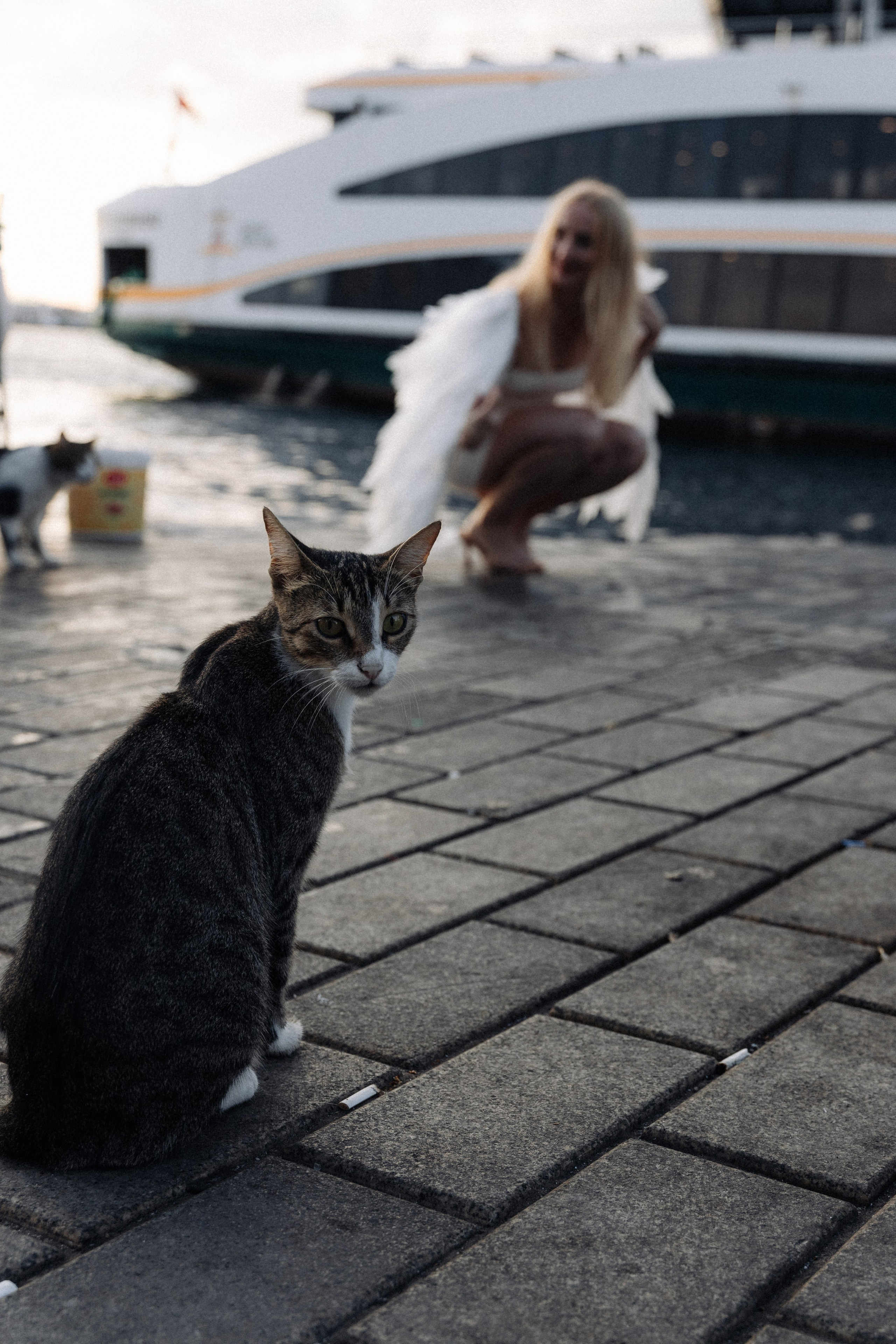 . Фотопрогулки в Стамбуле