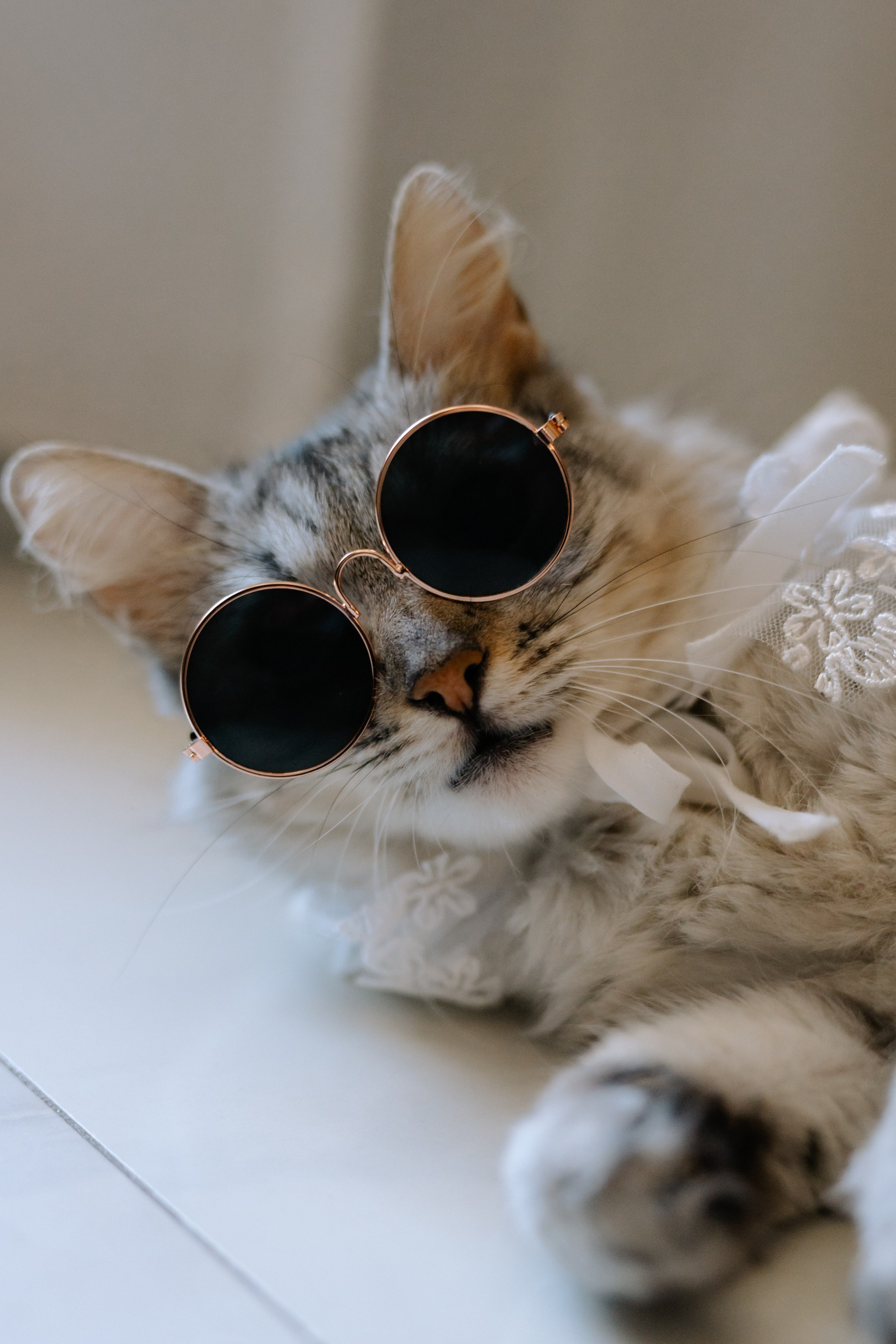 Ioana + Alex | Wedding day | Kalipso Lago. Proud Vision Weddings | Wedding Photography & Films — Servicii profesionale Foto Video Nunta Iasi