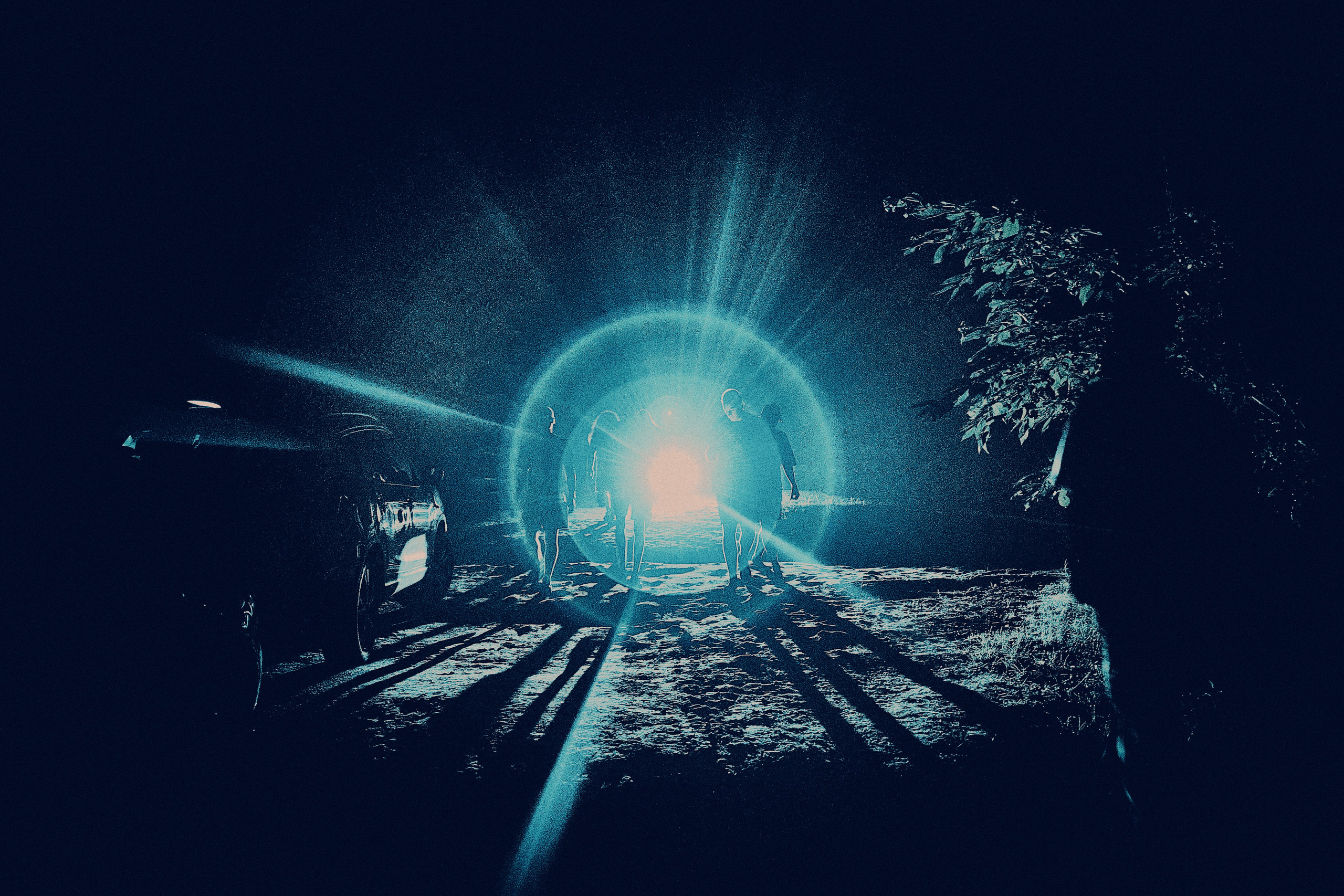 Organic Festival 2024. Андрей Шипилов — Фотография & Видеография