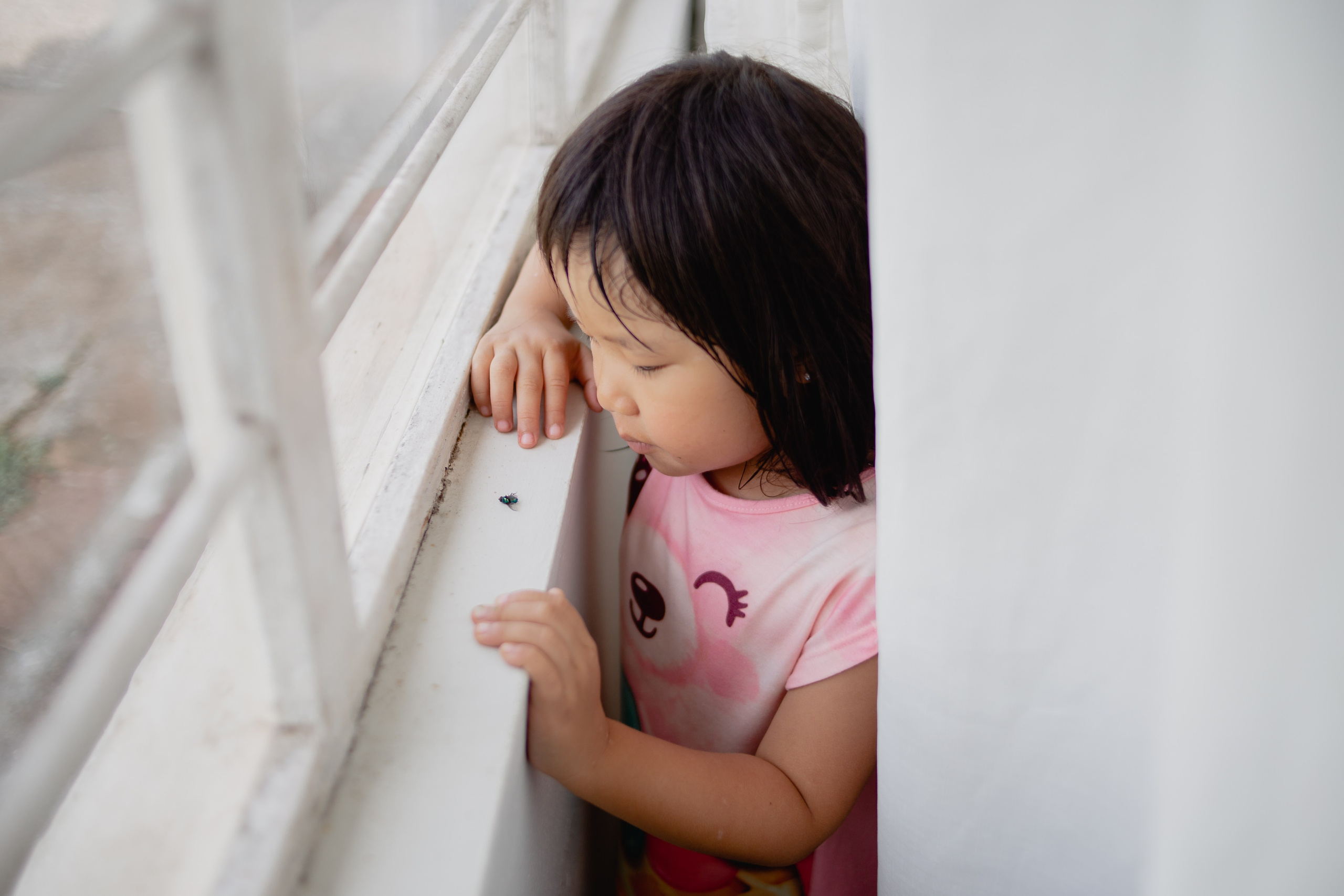 Documental Família Shimizu