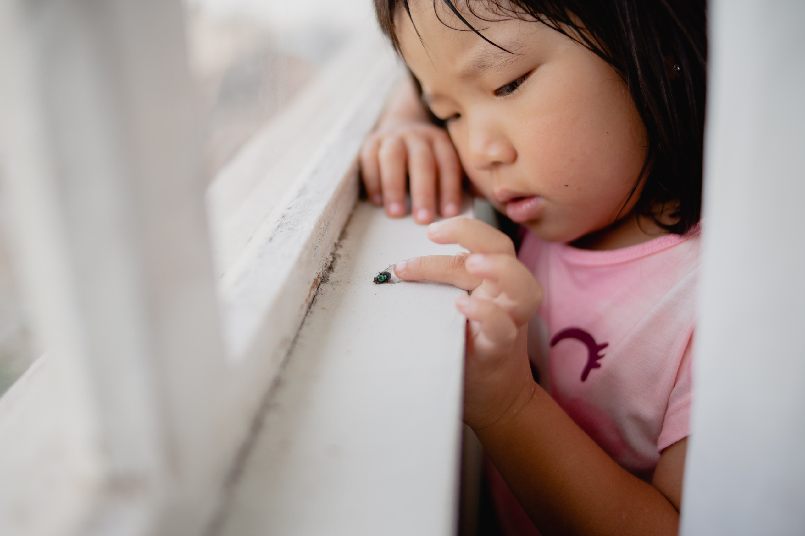 Documental Família Shimizu