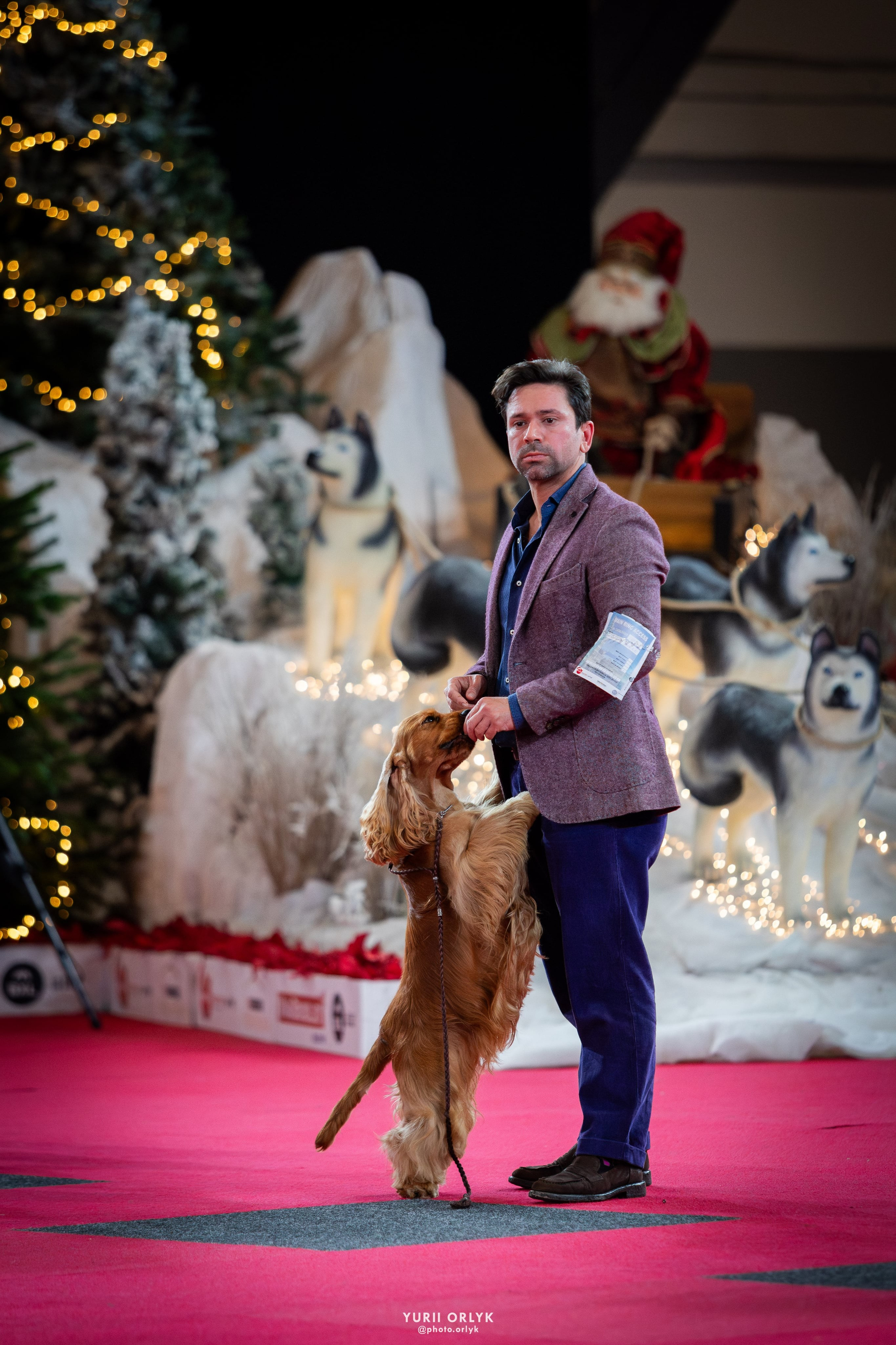 Dog Shows. Yurii Orlyk Photography