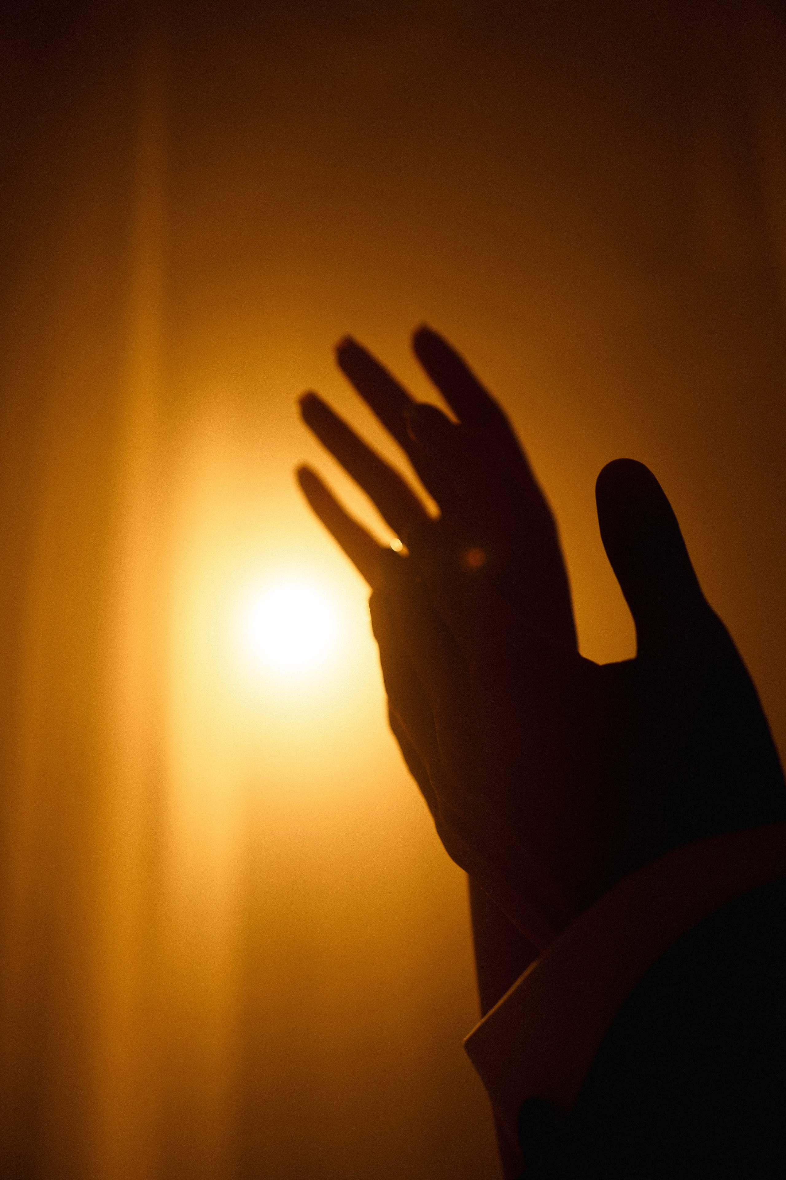 Manas & Zhanara. Азимжан Нуритдинходжаев — свадебный фотограф