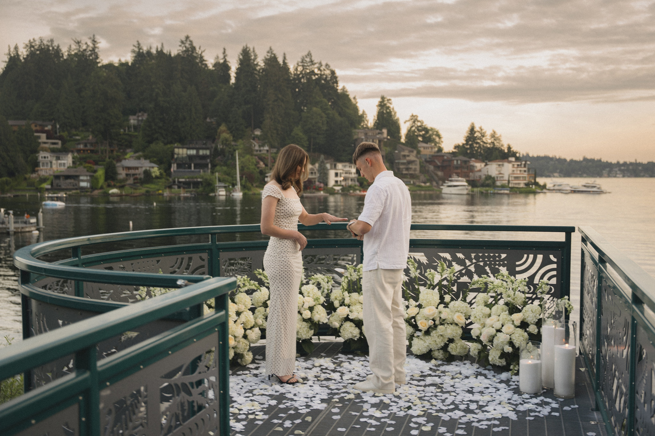 Ilya and Olena proposal. Photographer in Washington Sophia D