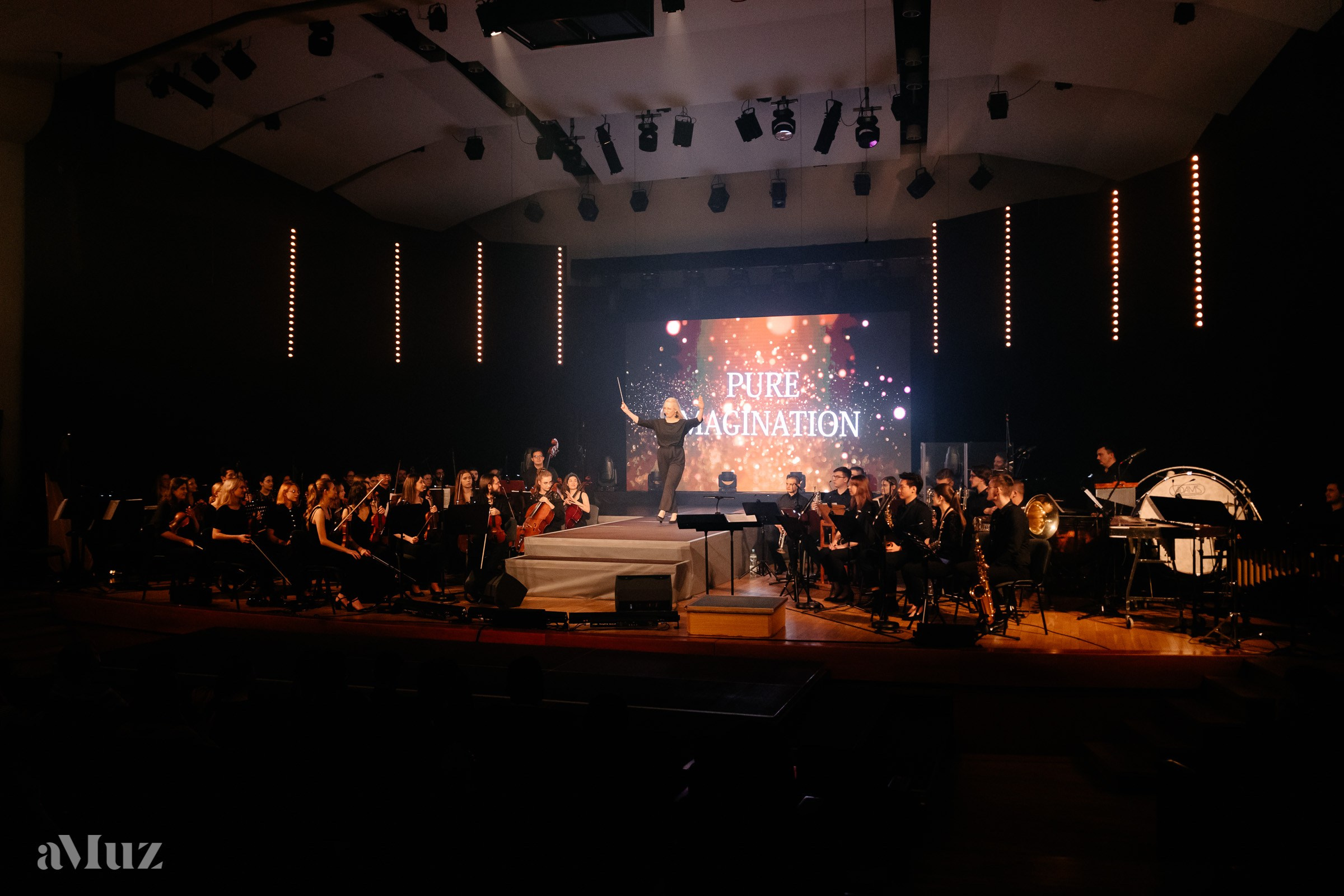 Koncert Amuz.pl. Fotograf Ślubny Warszawa - Sesje Biznesowe Rodzinne Eventy