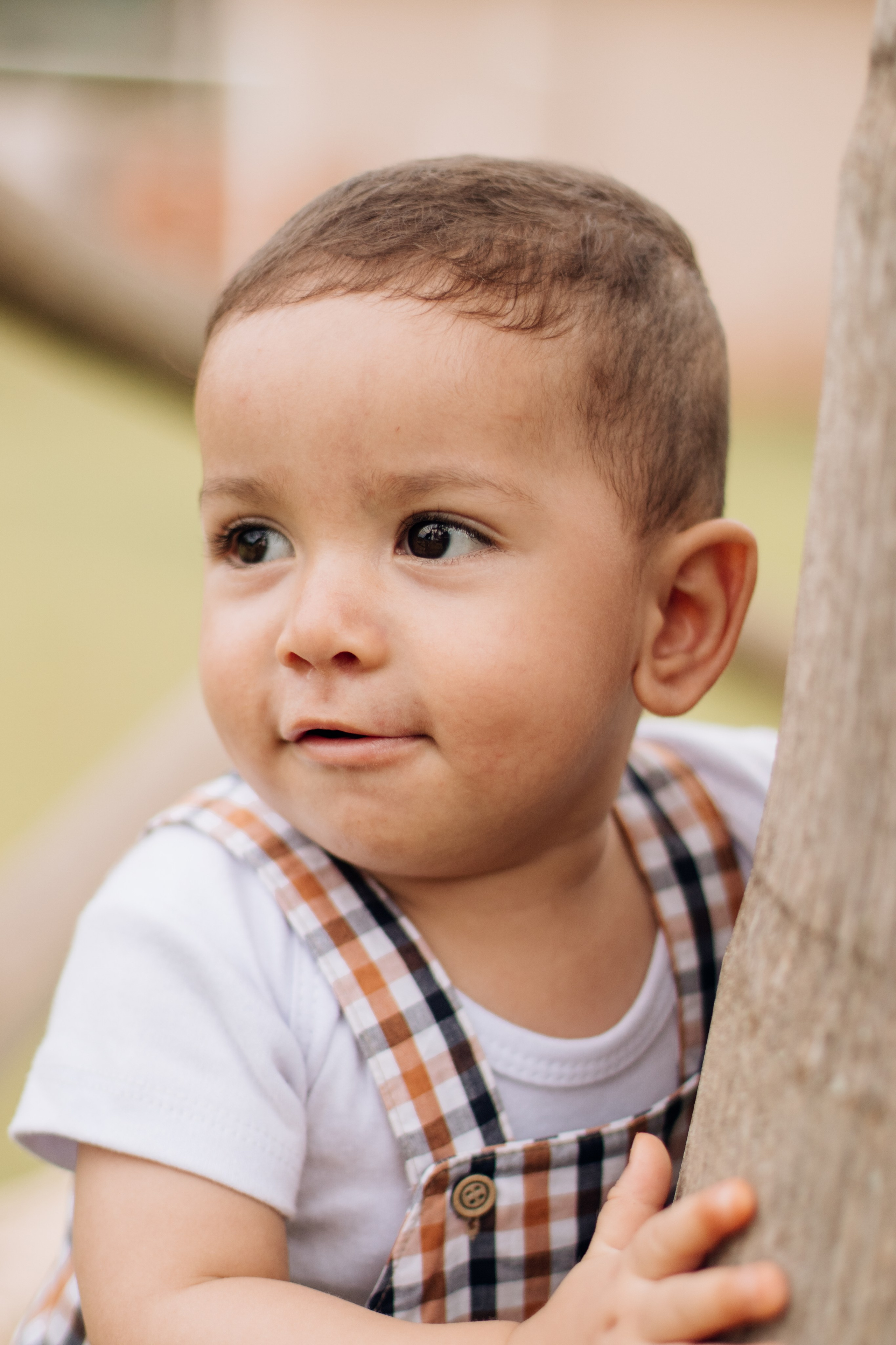 Gustavo — Aniversário 1 ano. Principal