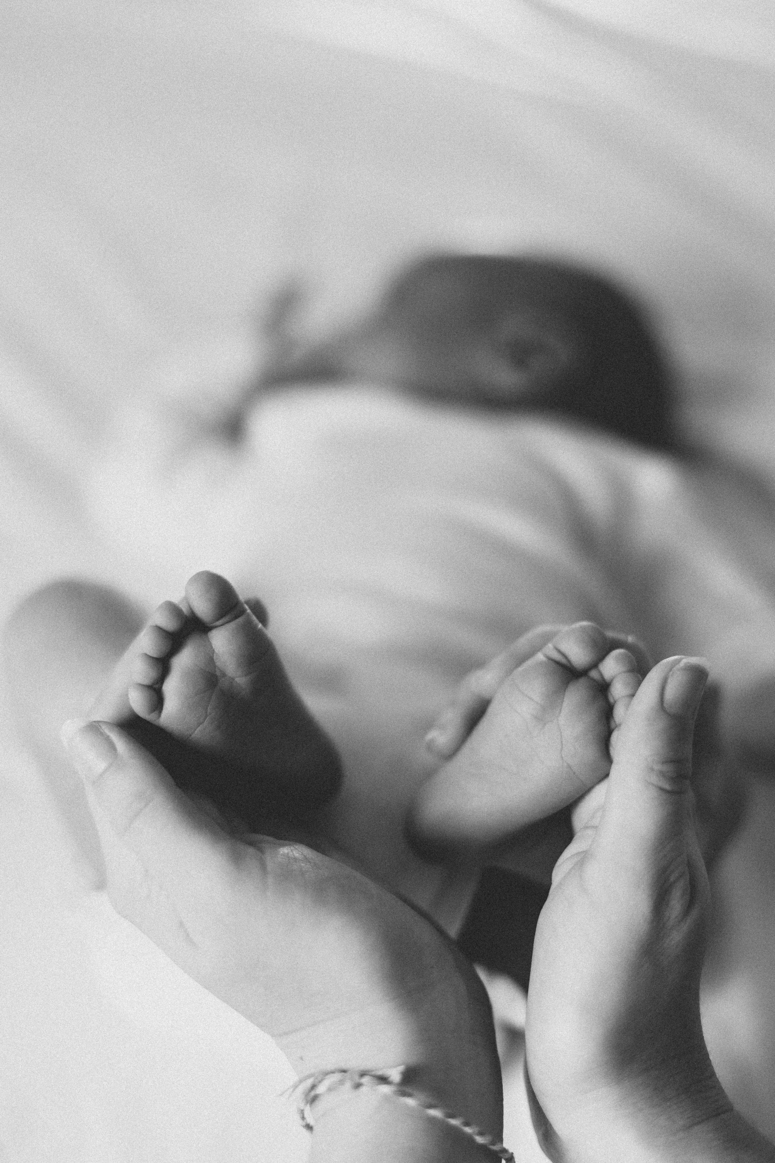 Shayne, Alon, Yanay&Kedem