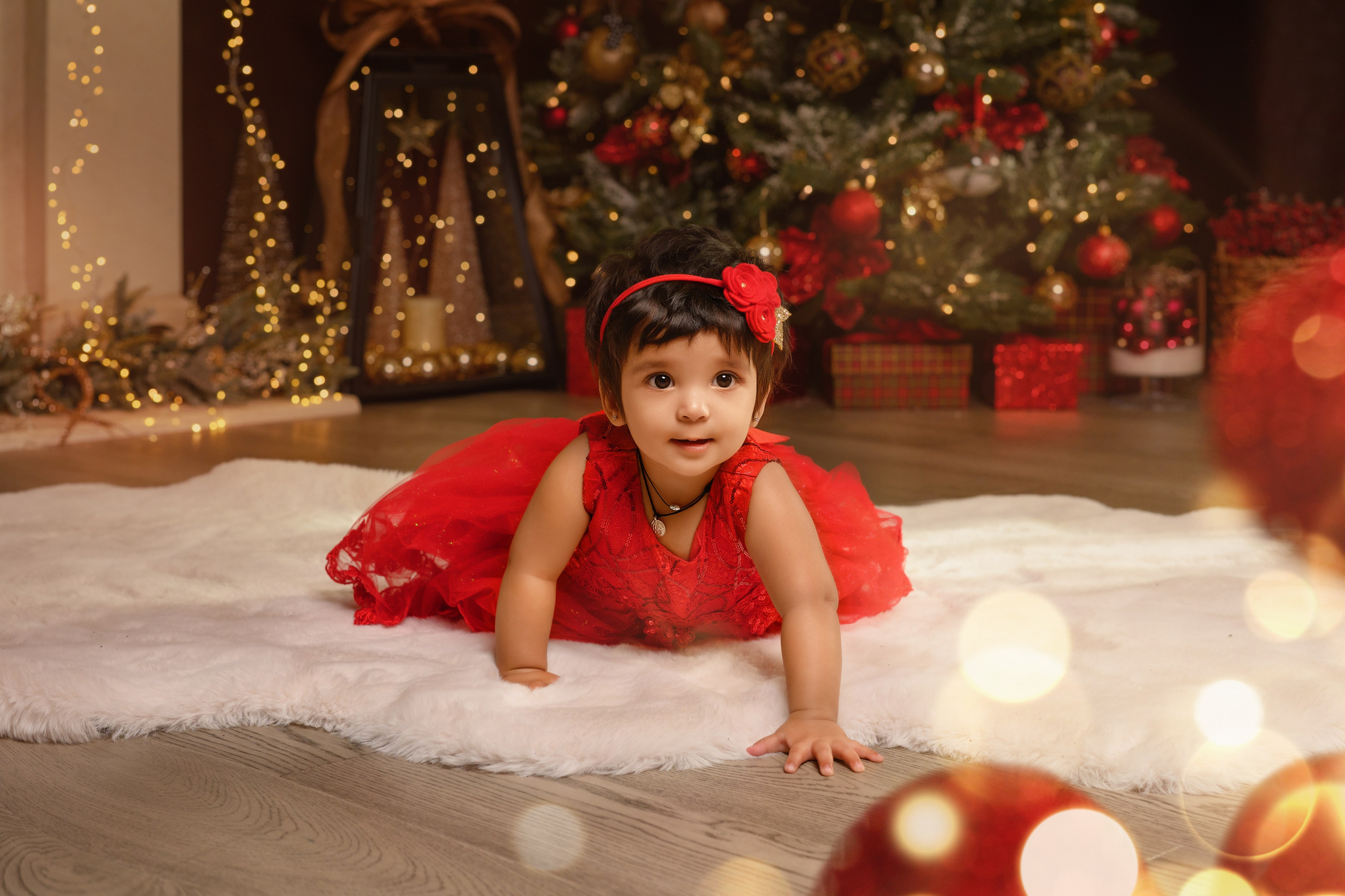 Priyanka and her family. Wedding & family photography in Seattle area. Helen Michelle photographer