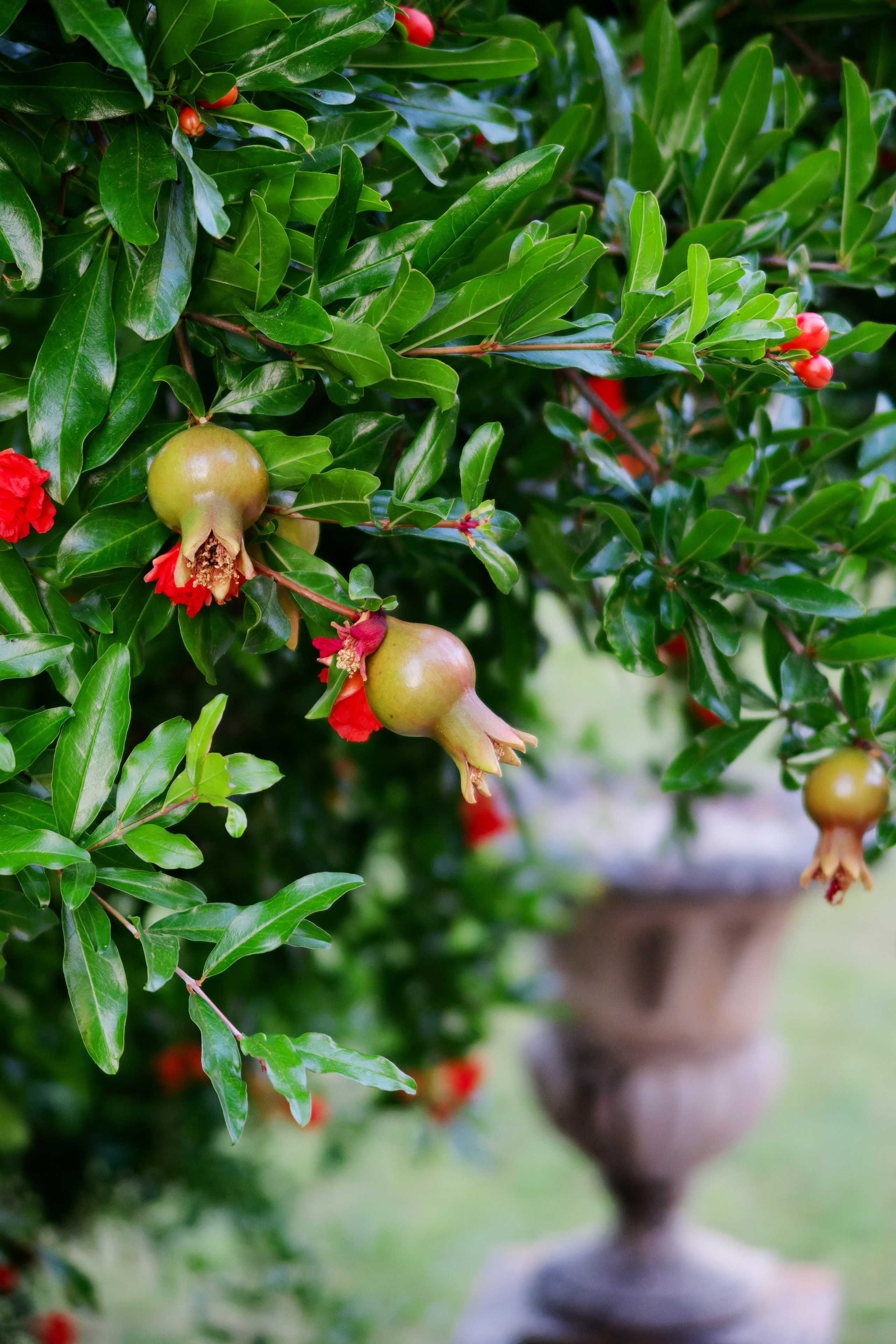 Wedding at La Torre di Pila, Umbria, Italy