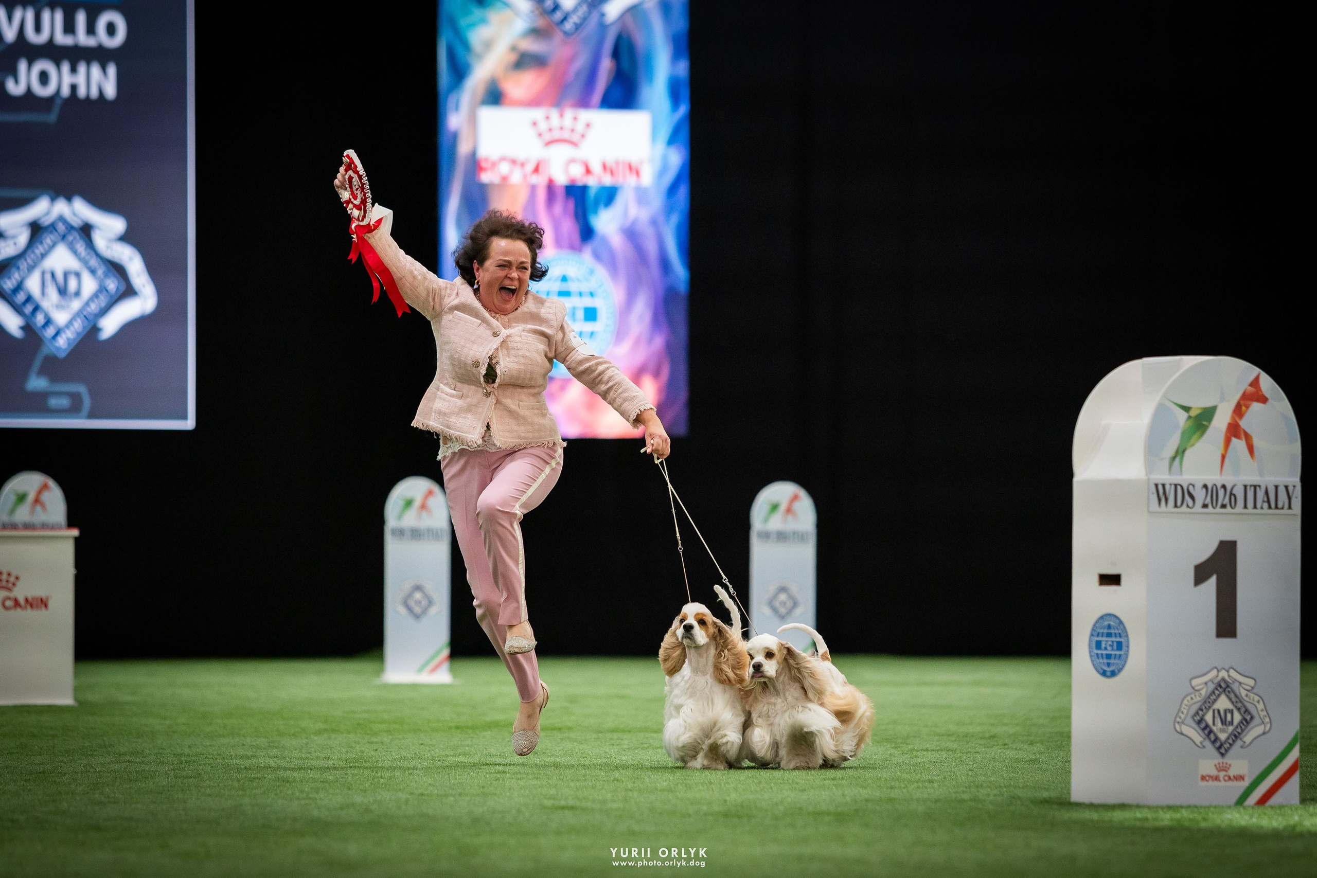Dog Shows. Yurii Orlyk Photography