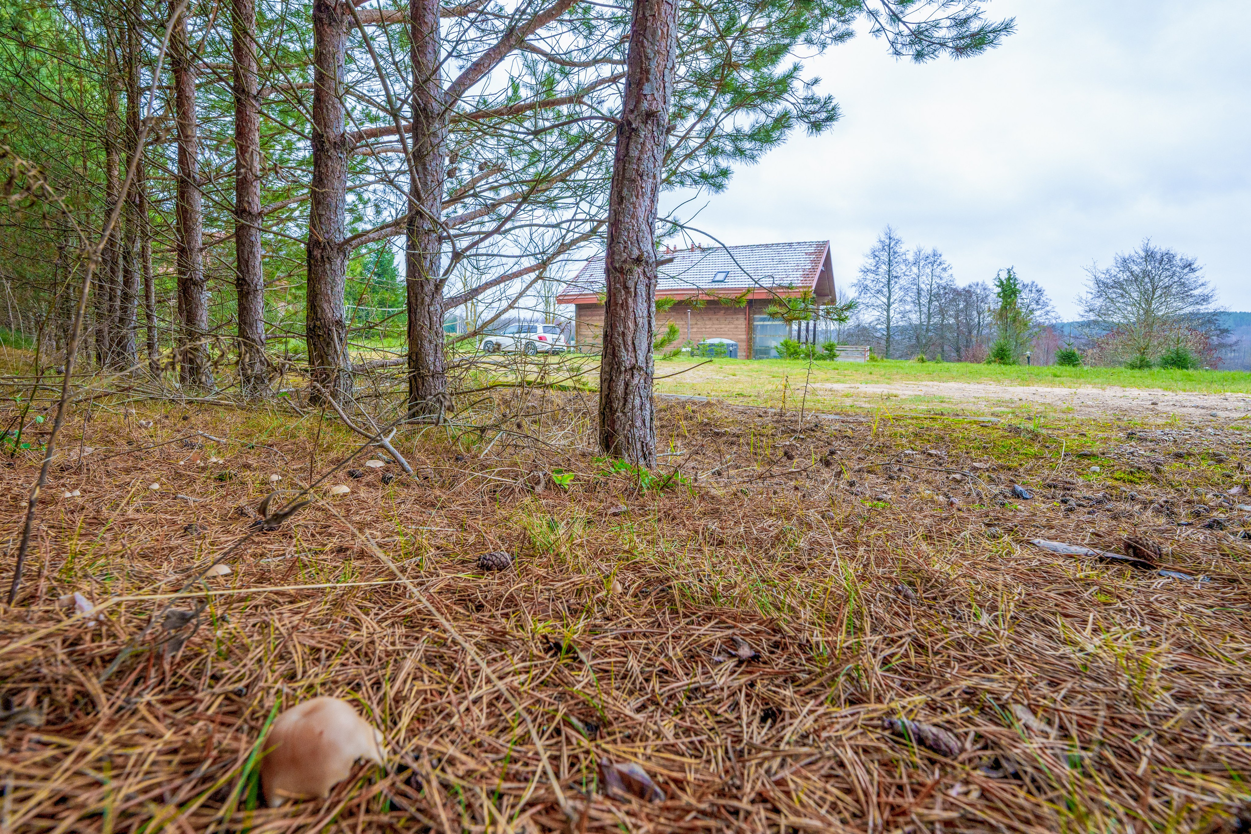 Trakų raj. sodyba. Elina Sapiega fotografė Vilniuje