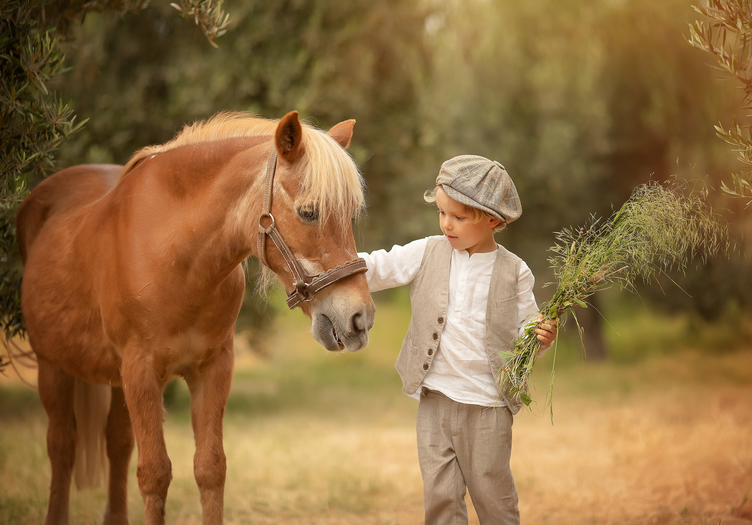 Servicios. Fotógrafo Almeria. Swetlana Ushakova