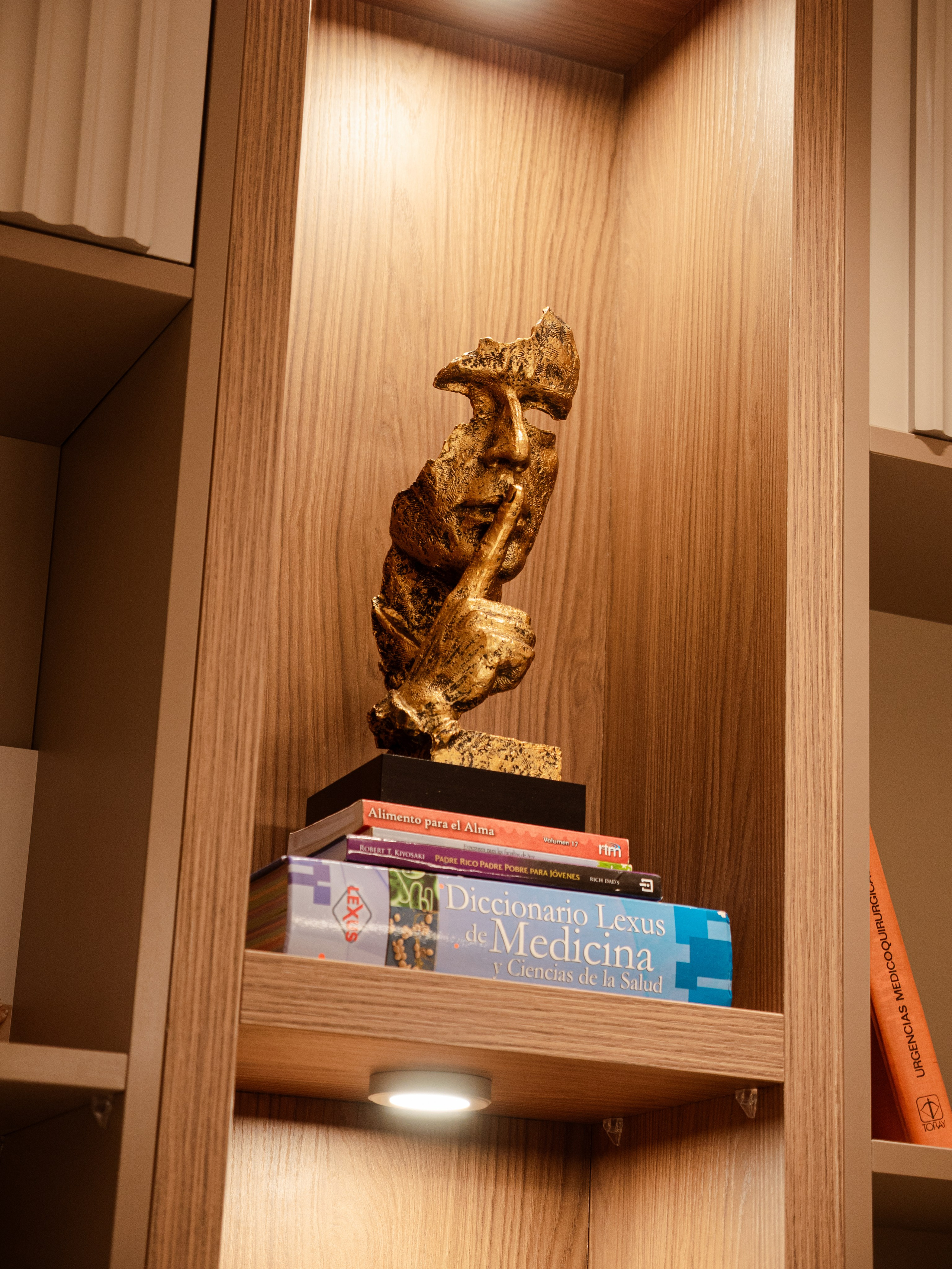 Medicina - Dr. Wascar Martinez. VisualAvalon