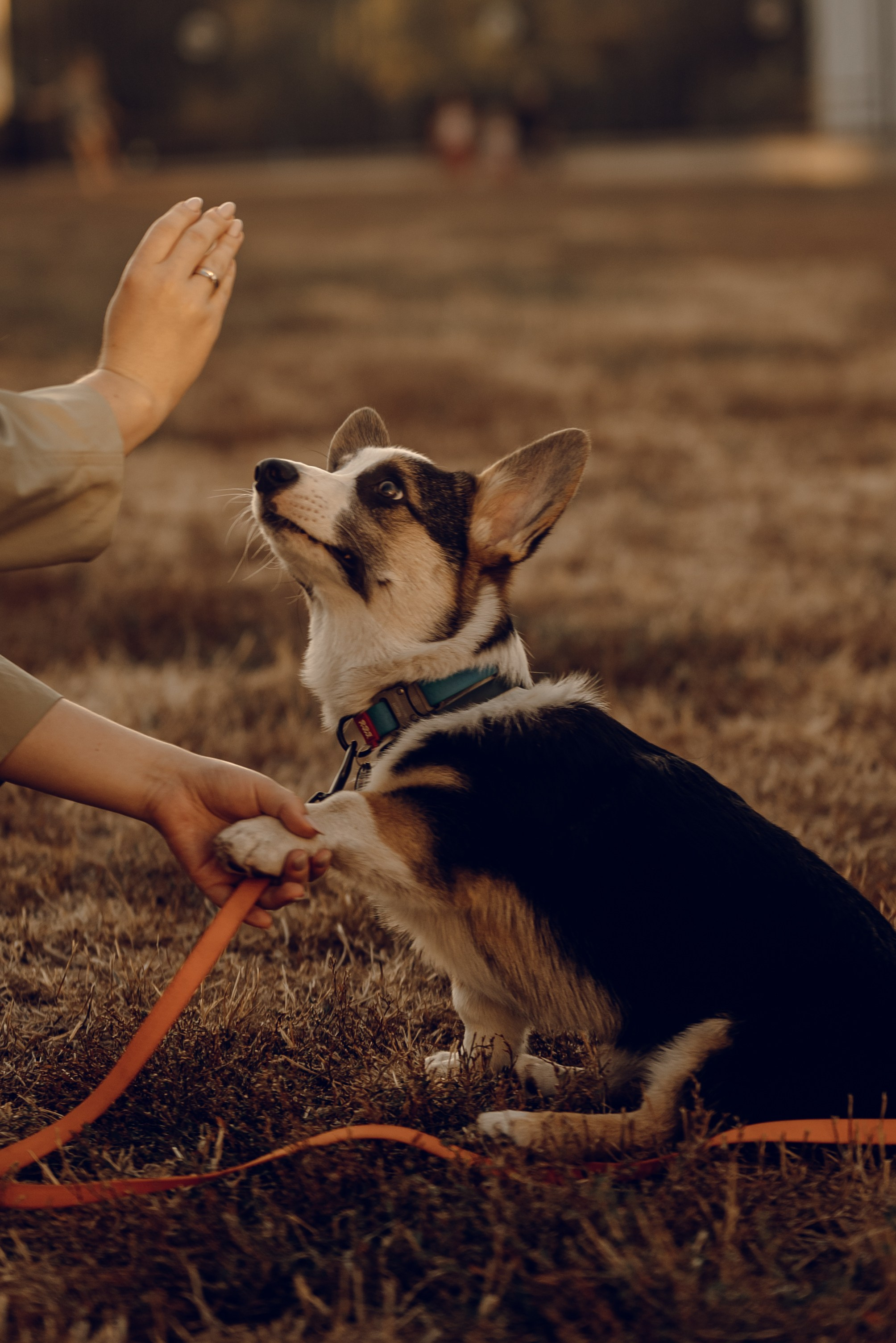 Анна, Назар и Морти. Фотограф Ирина Новикова
