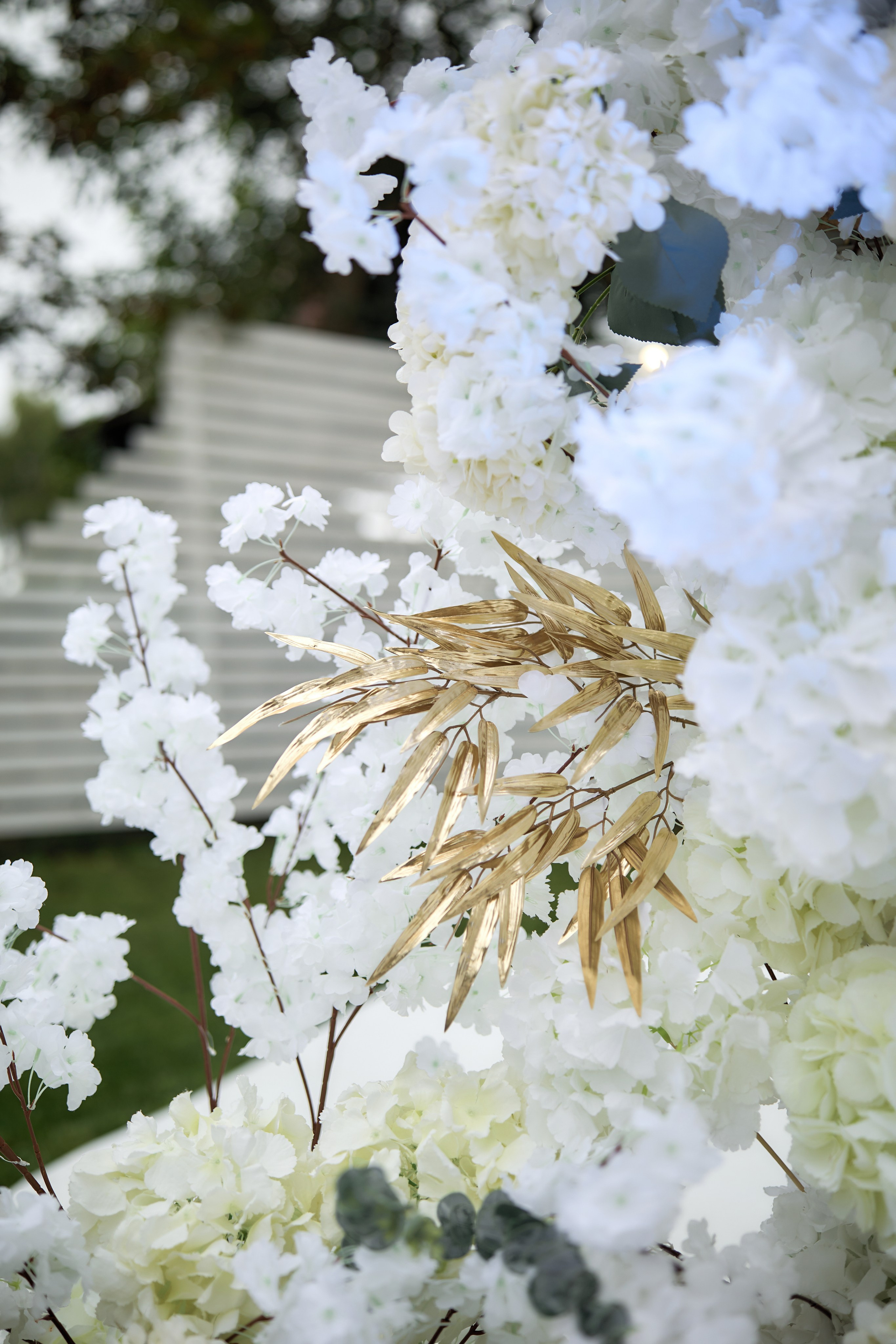 Virgil & Anastasia. Свадебный и семейный фотограф. Fotograf de nunta si familie
