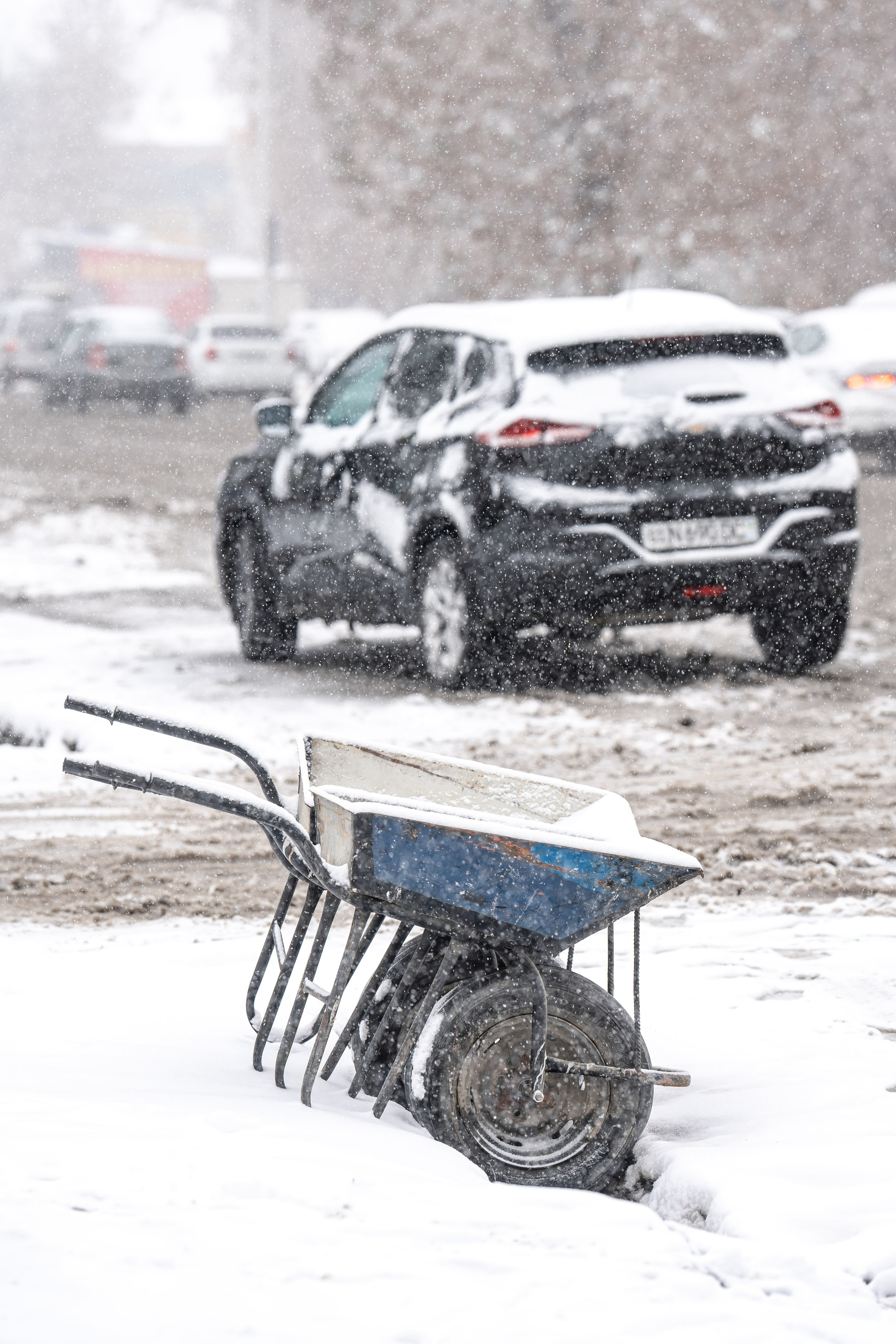 Снег. Георгий Намазов | Фотограф в Ташкенте