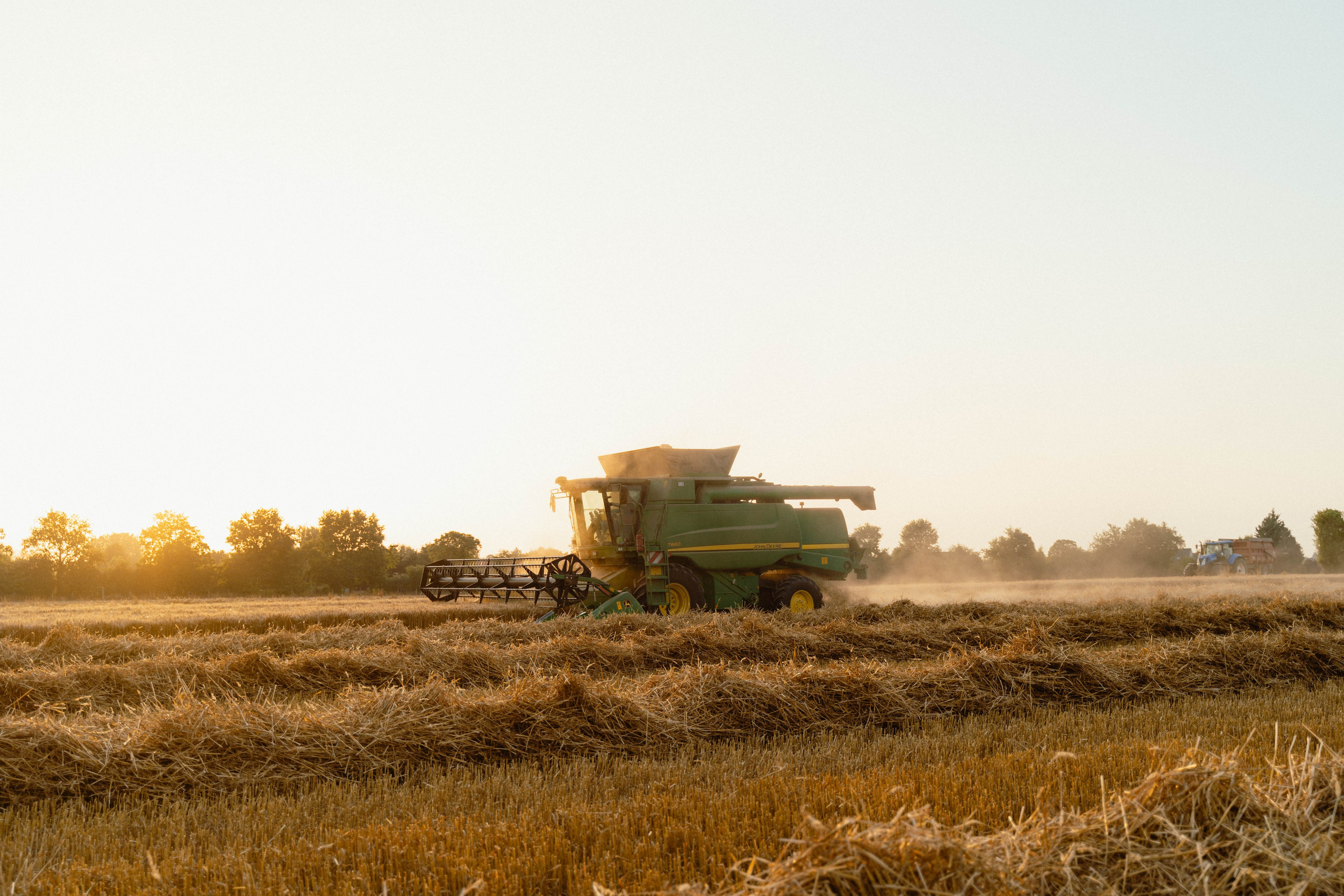Entreprise agricole. Weeding photographer / event / portrait