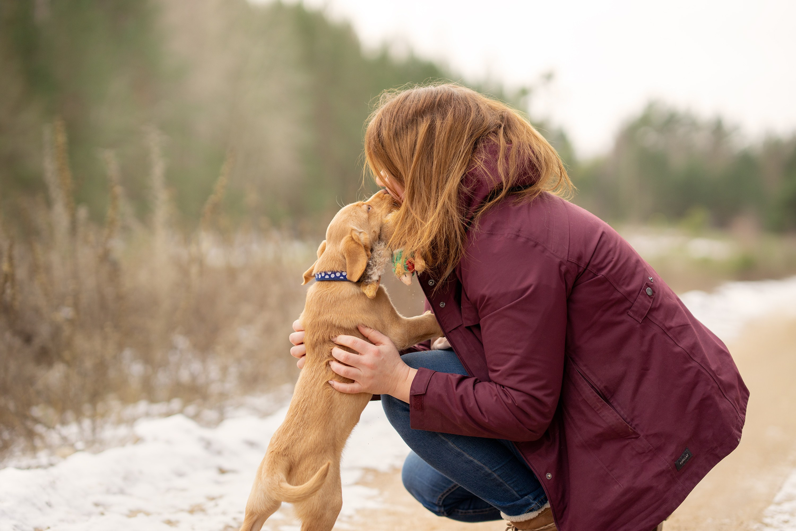 2 berno zenenhundai ir naujas šeimos narys Riko. Vita Klimaševska ○ Fluffy Soulmate Photography