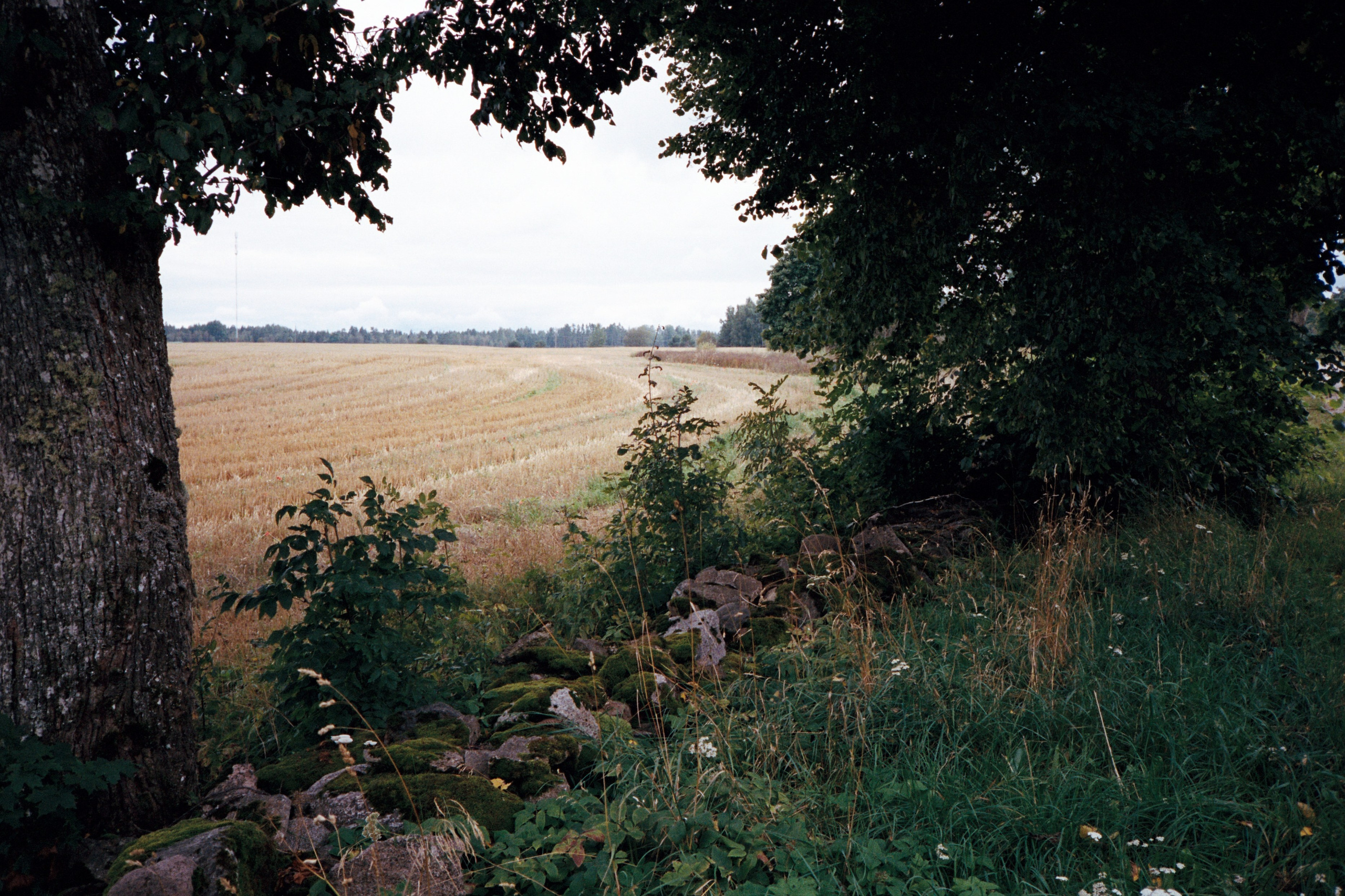 Fotograf i Narvik kommune. Din fotograf i Narvik kommune