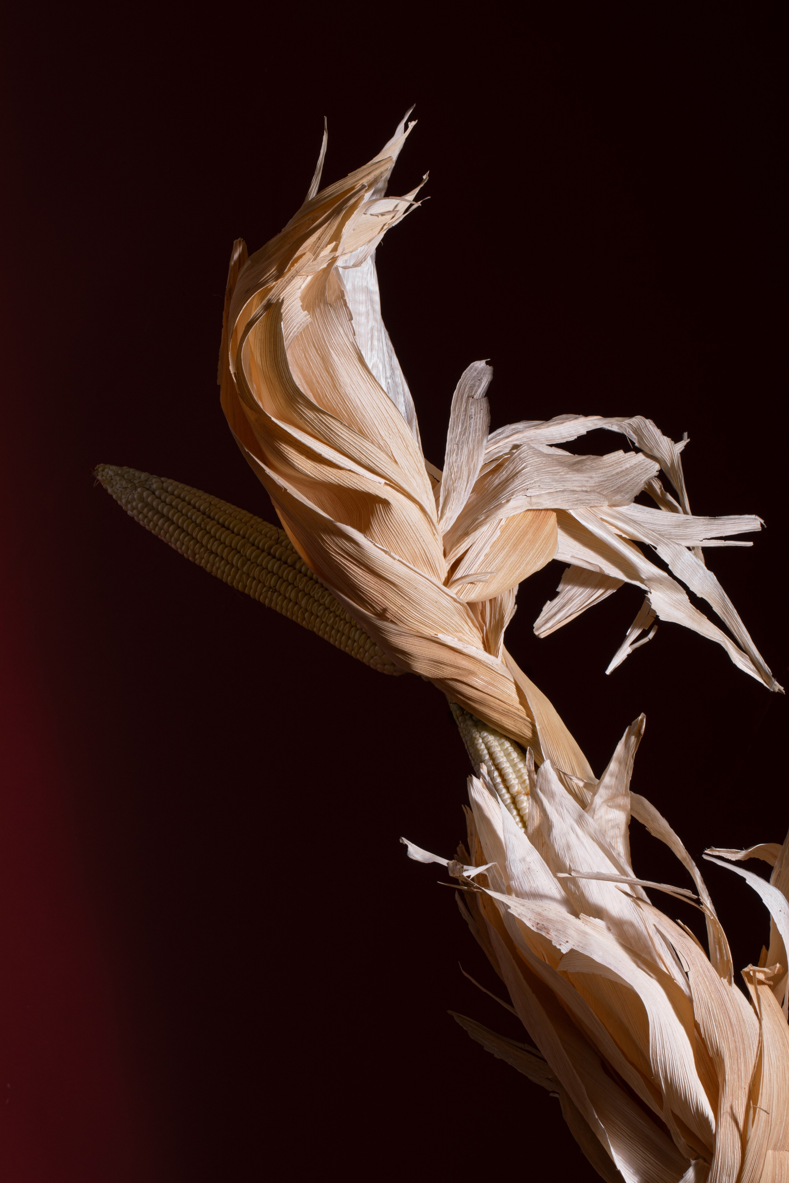 Ejercicio de estilismo parte del Máster 'Vanguardia y Creatividad' de Madrid Flower School.