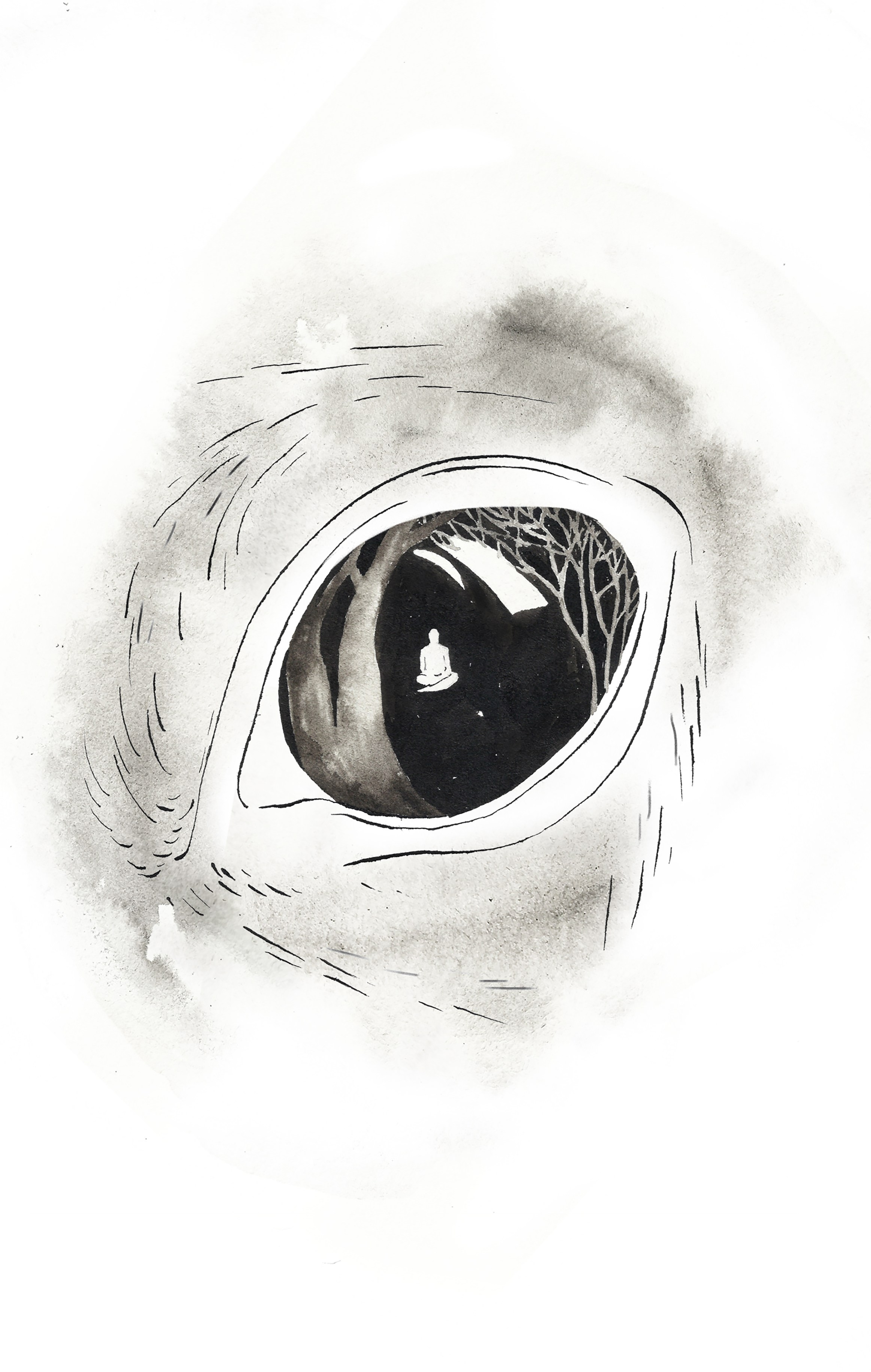 Illustrations. Artist, photographer, graphic designer, dreamer