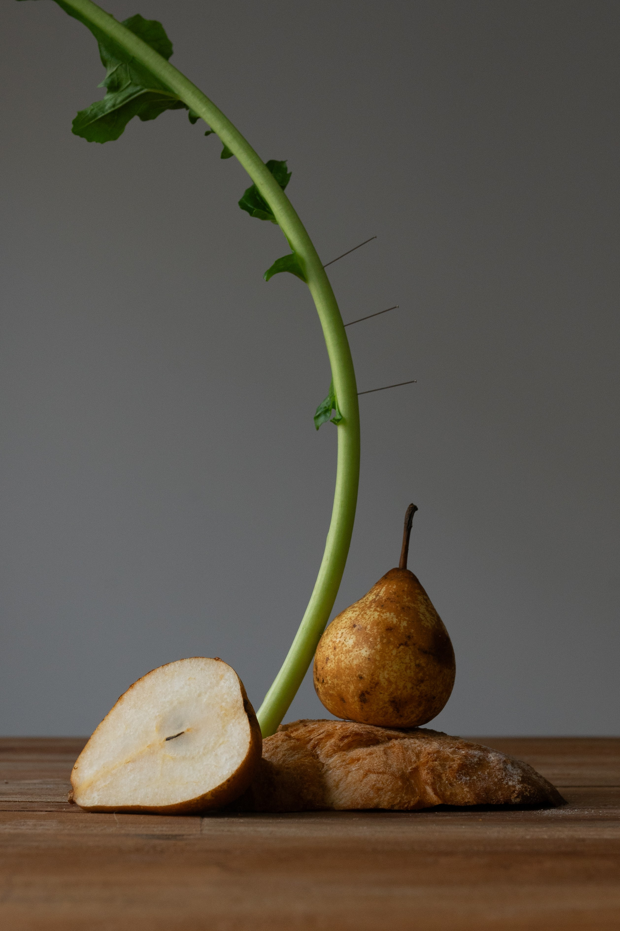 Roots. Maria Sher. Professional photographer from Porto, Portugal