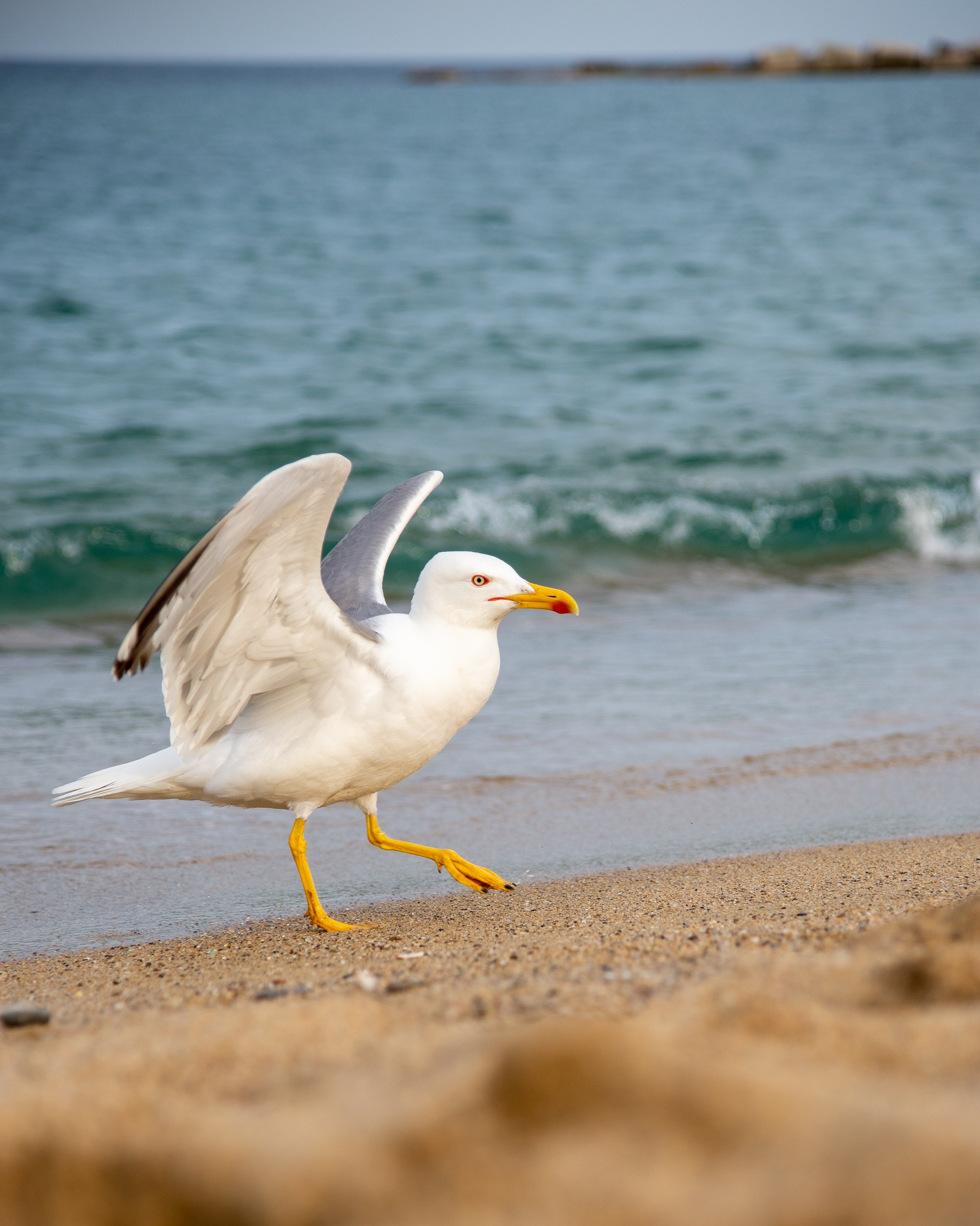 Barcelona. Marius Ciocan