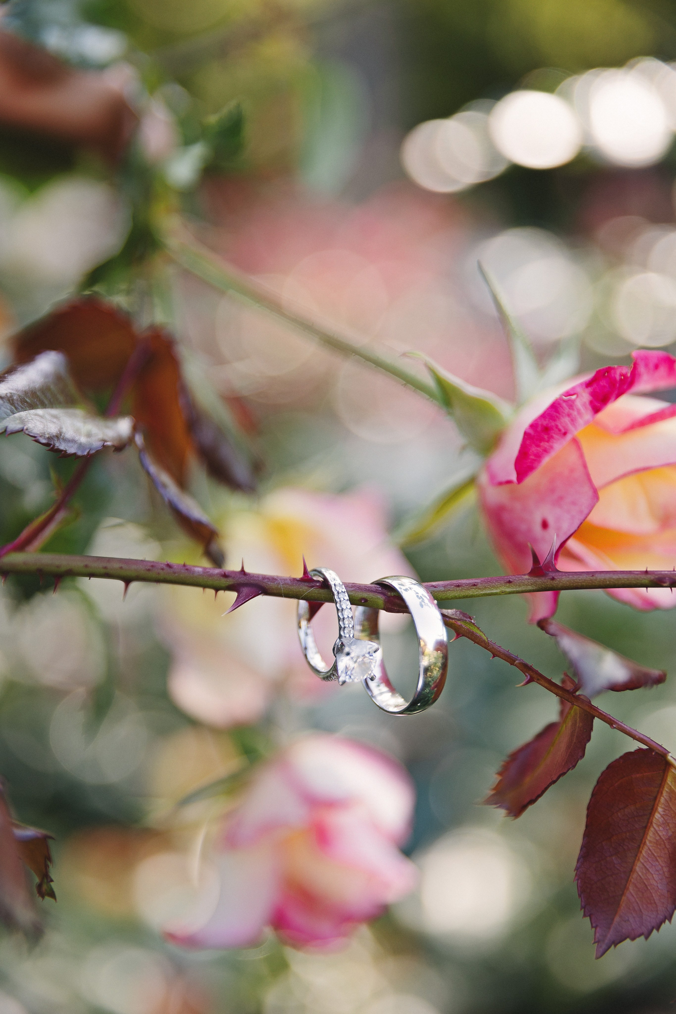 Hochzeit. Oxana Gruber Fotograf