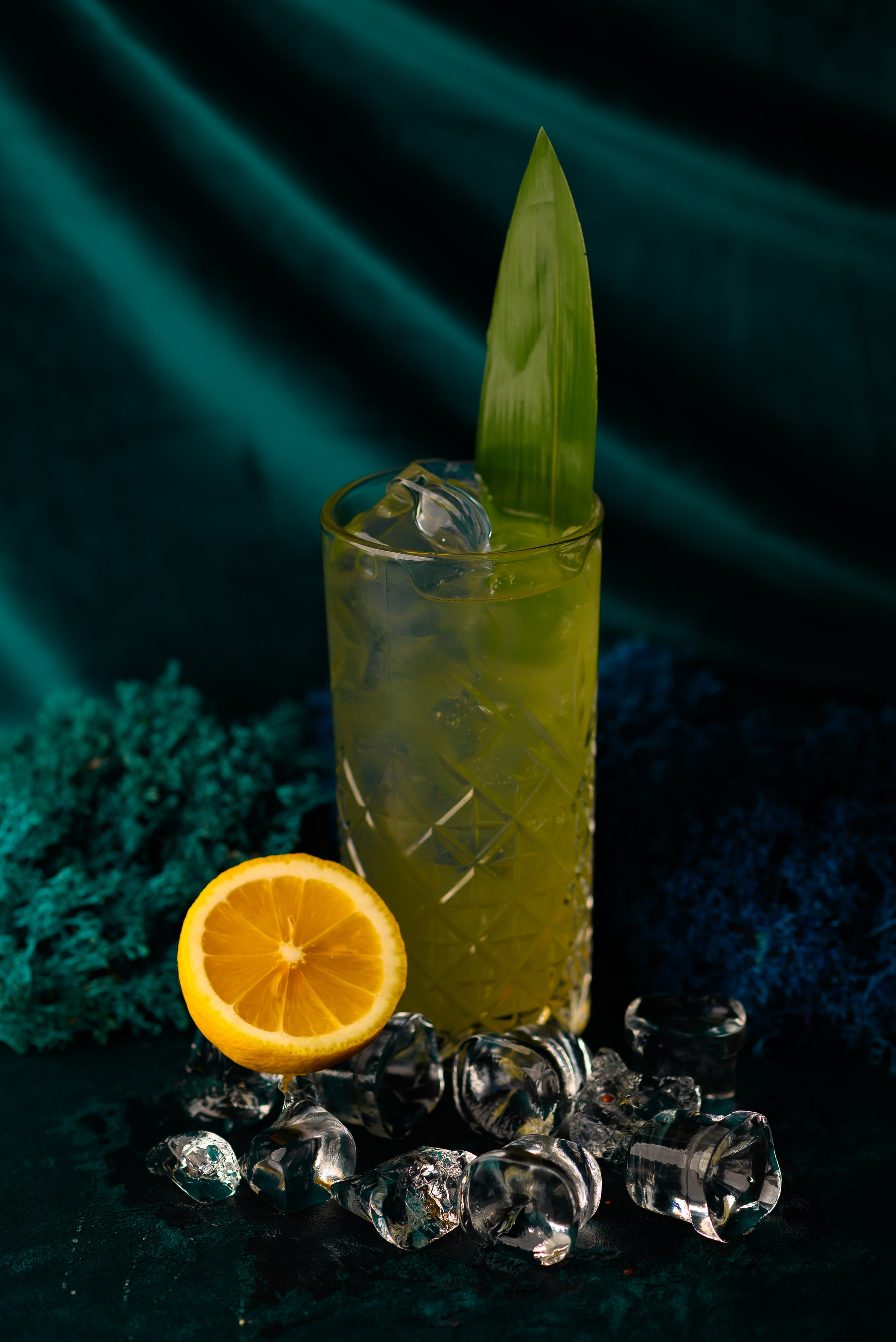 FOOD Photo. ST.PHOTO13