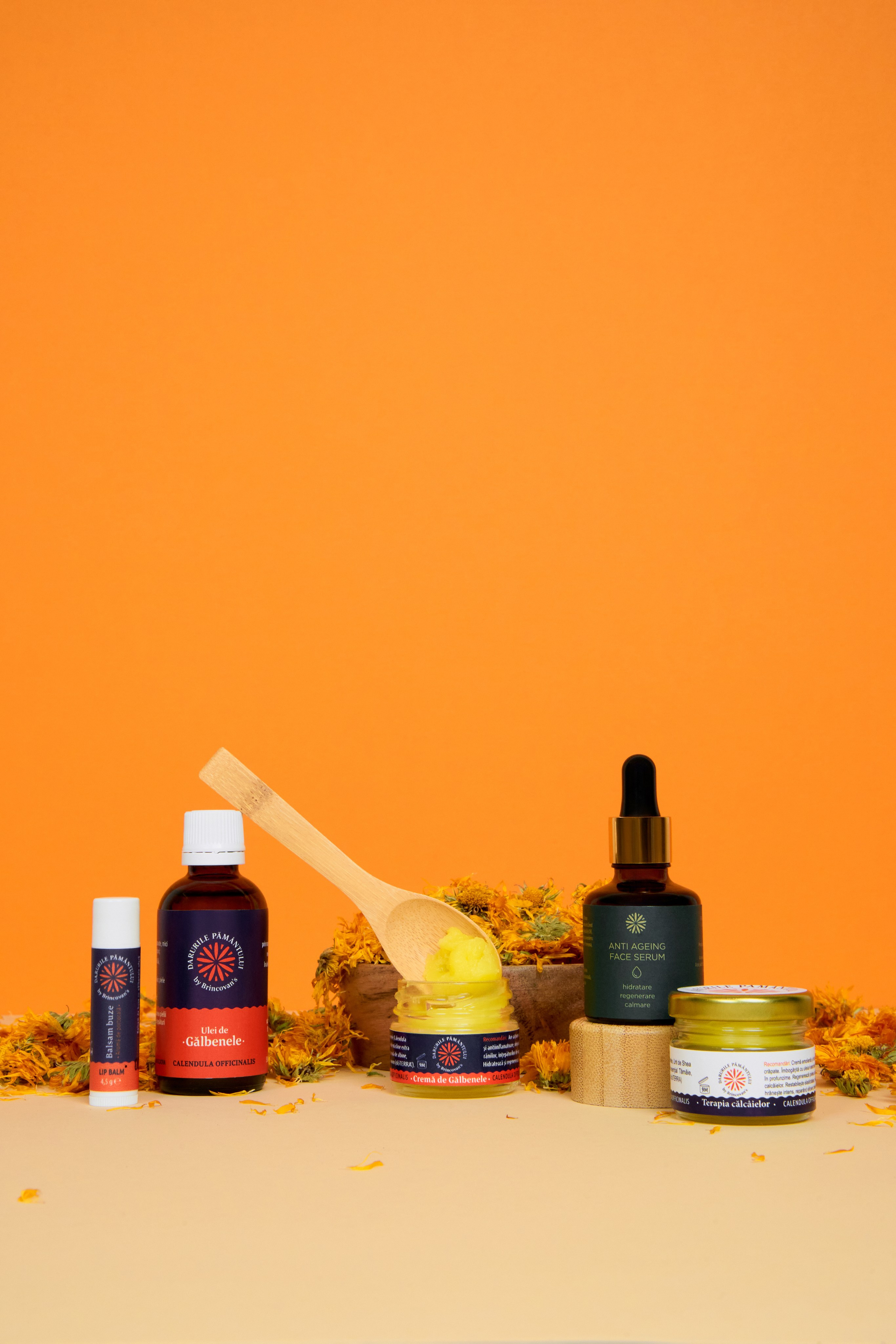 Darurile pamantului. Привет