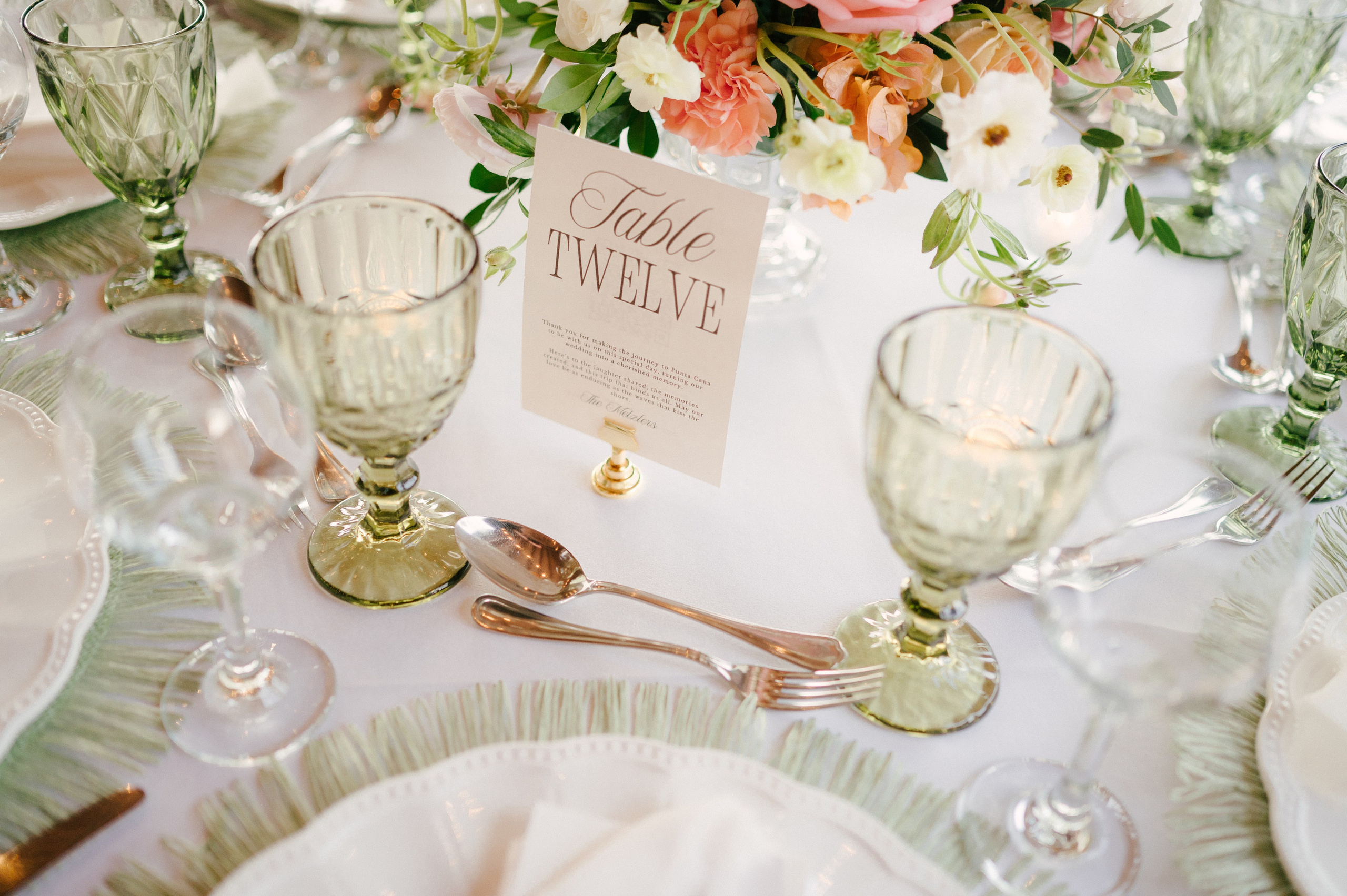 Gabrrielle&Nolan. Punta cana wedding family fashion photographer dominican republic, destination wedding photographer, elopement photography Punta Cana