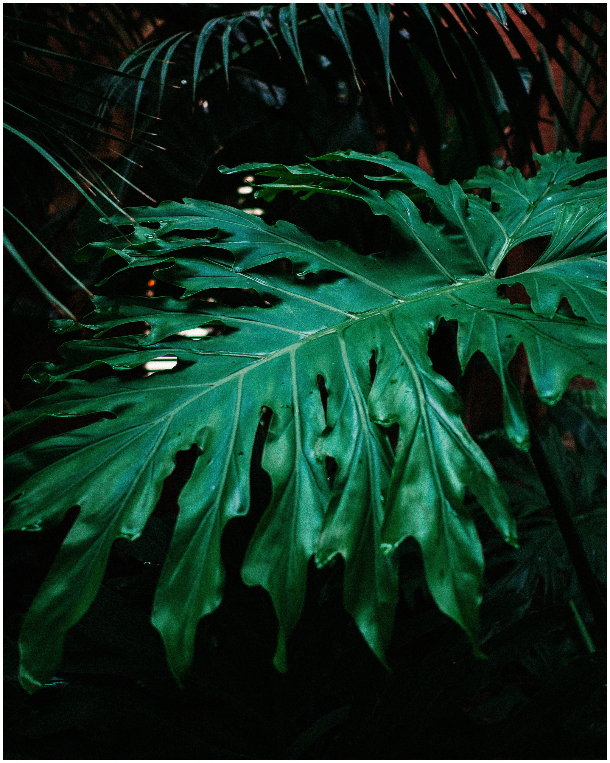 BARCELONA. Inna Mendelson — Photographer