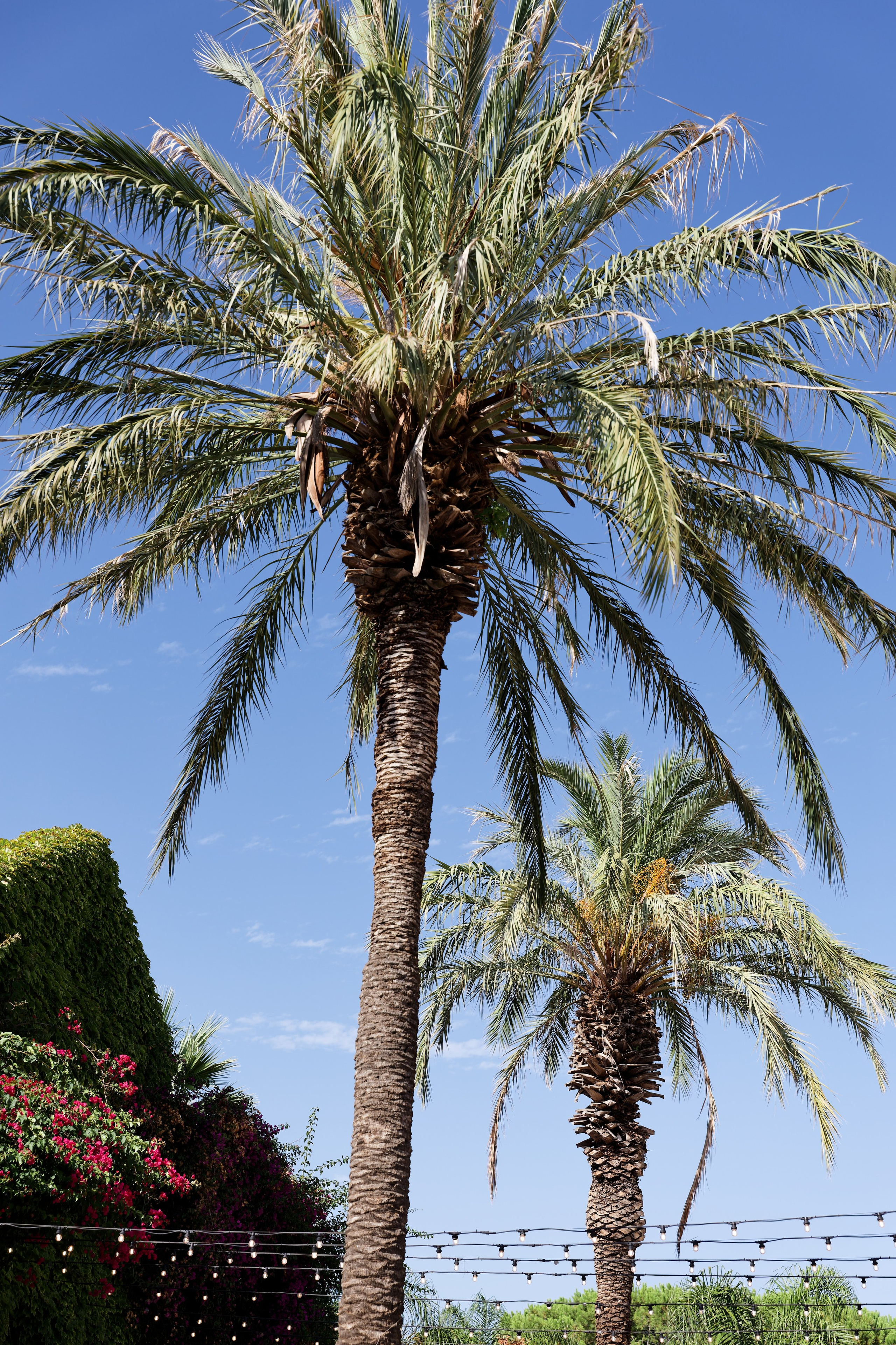 Wedding of Gracie & Joe at Gran Villa Rosa, Barcelona