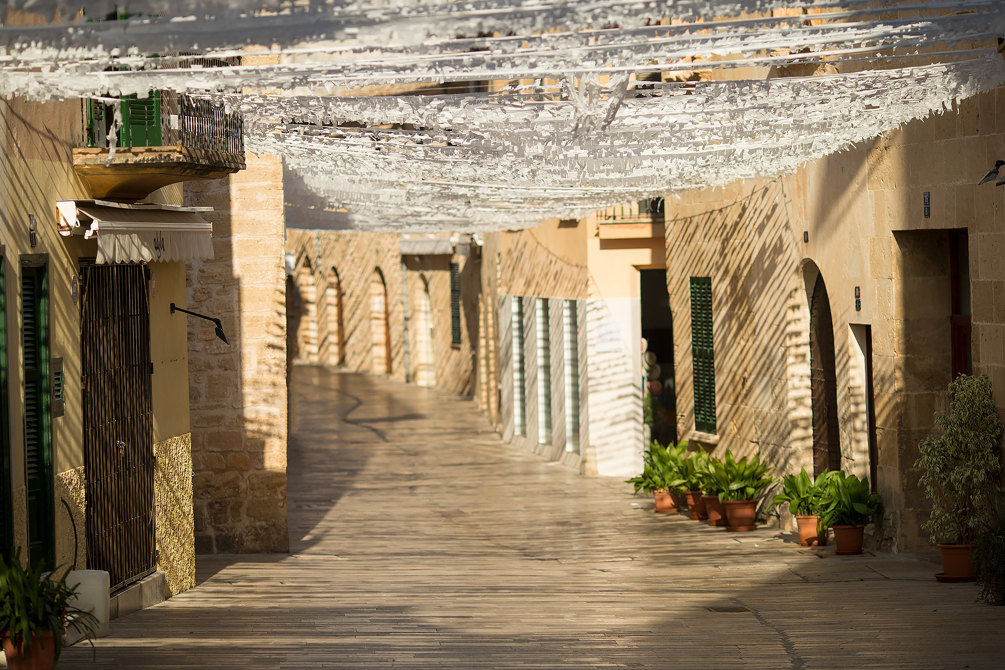 Sunny Mallorca. Children’s and family photographer Anna Krasovitskaya