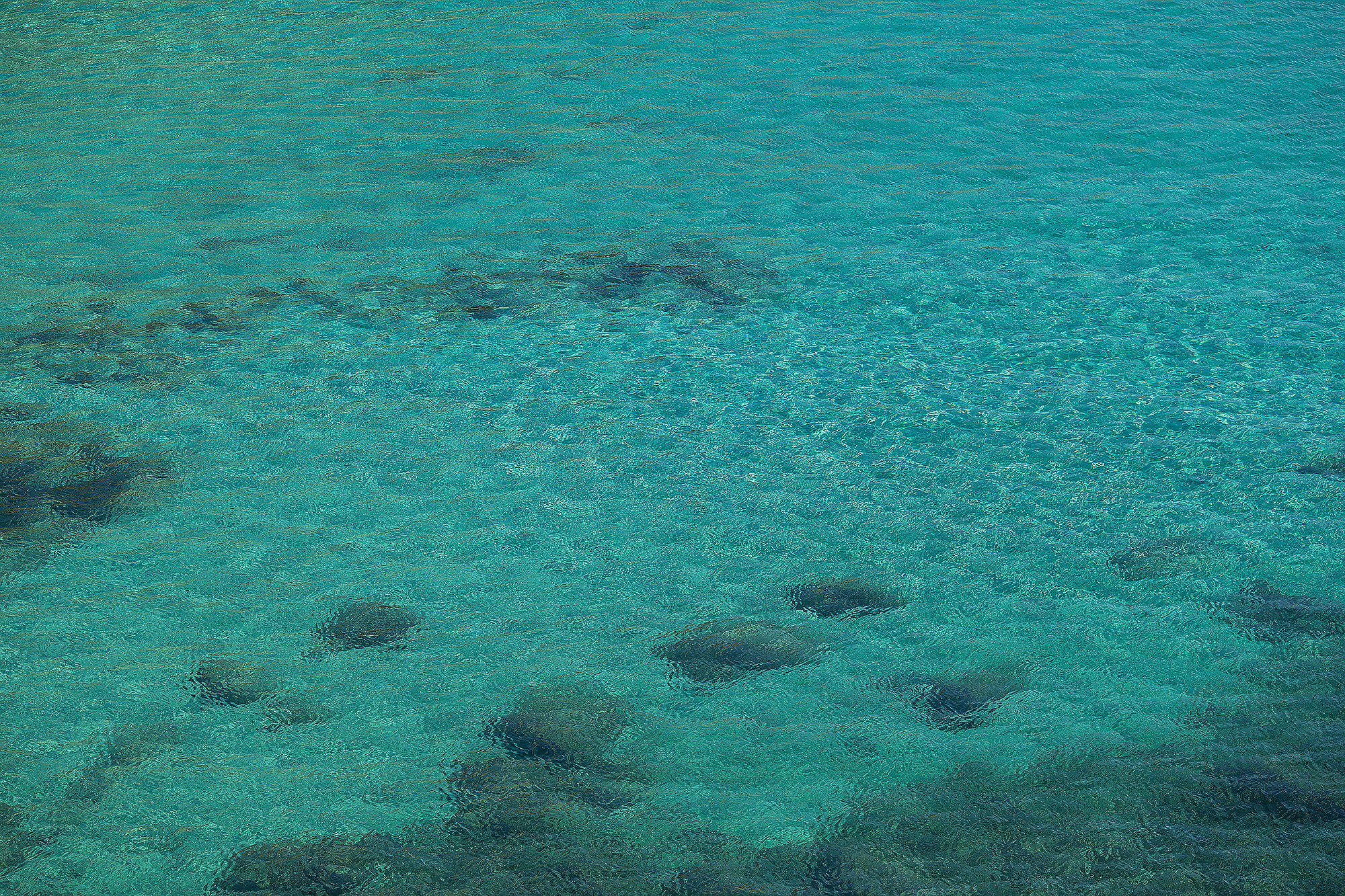 Sunny Mallorca. Children’s and family photographer Anna Krasovitskaya